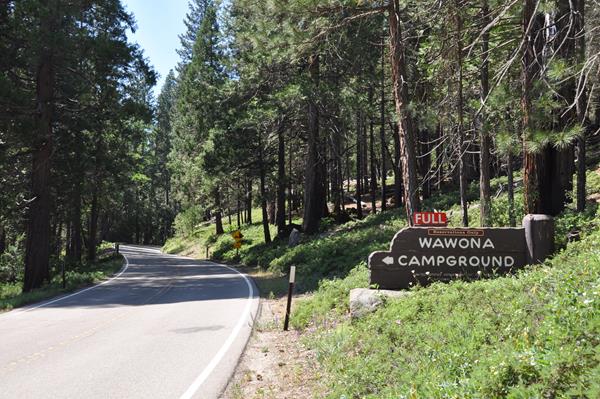 Wooden Wawona Campground sign located along the Wawona Road