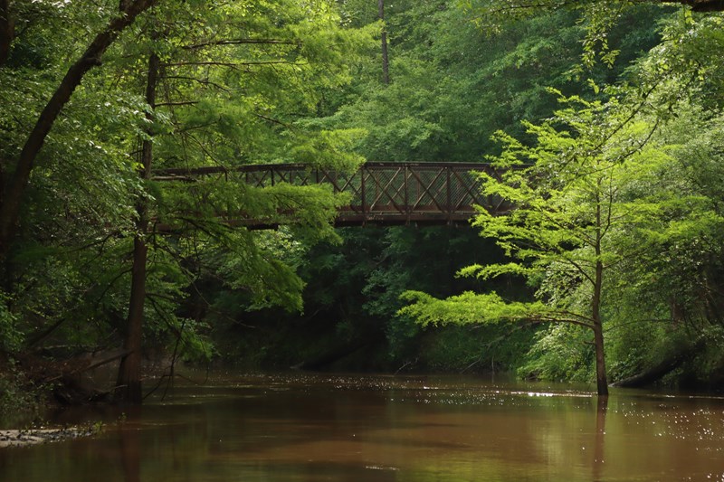 Village Creek Bridge An iron bridge above a murky creek surrounded by dense woods.