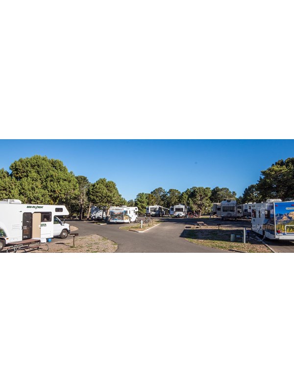 a wide panorama showing a number of RVs in individual sites.
