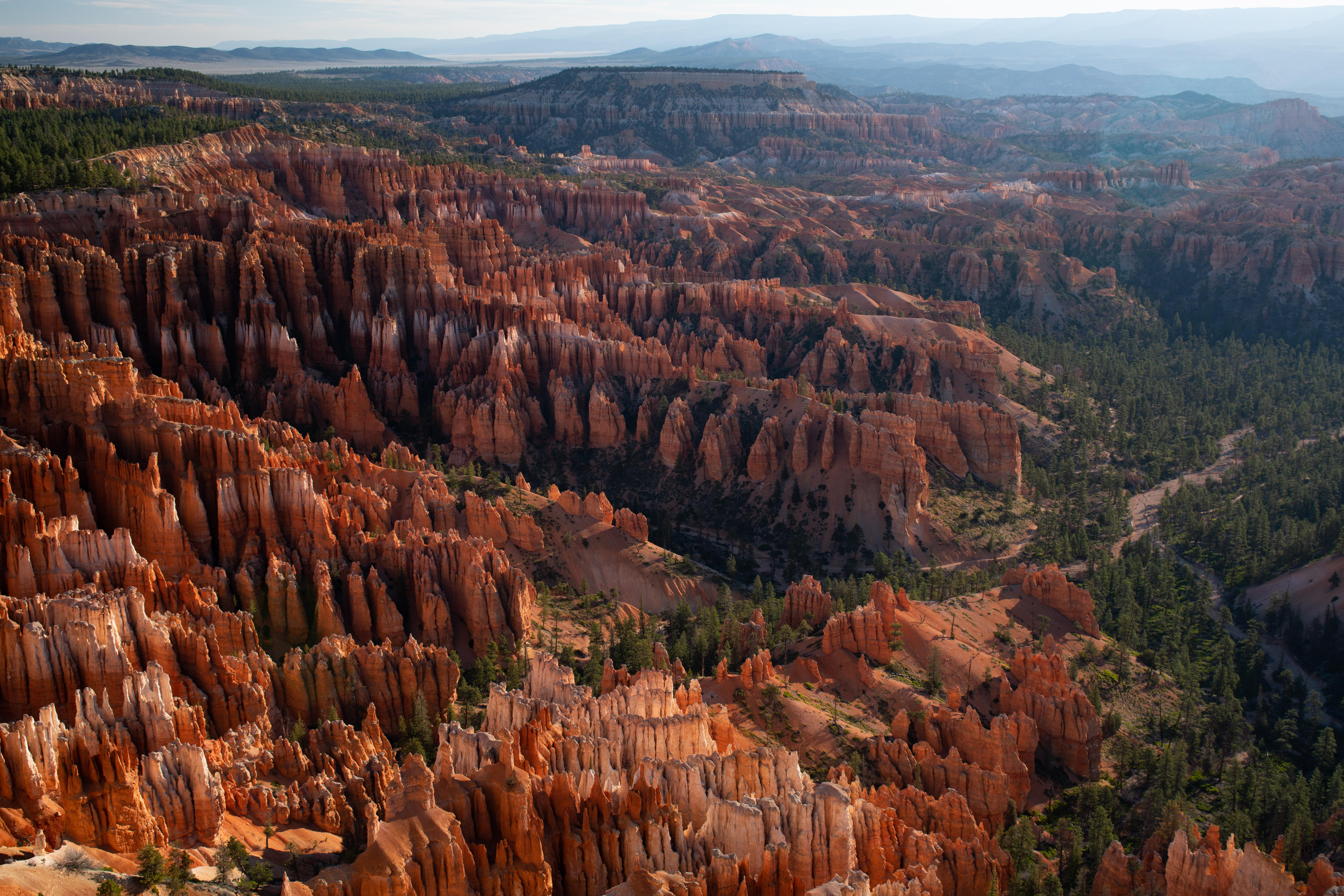 A red rock landscape and plateau forest glows with the morning sun