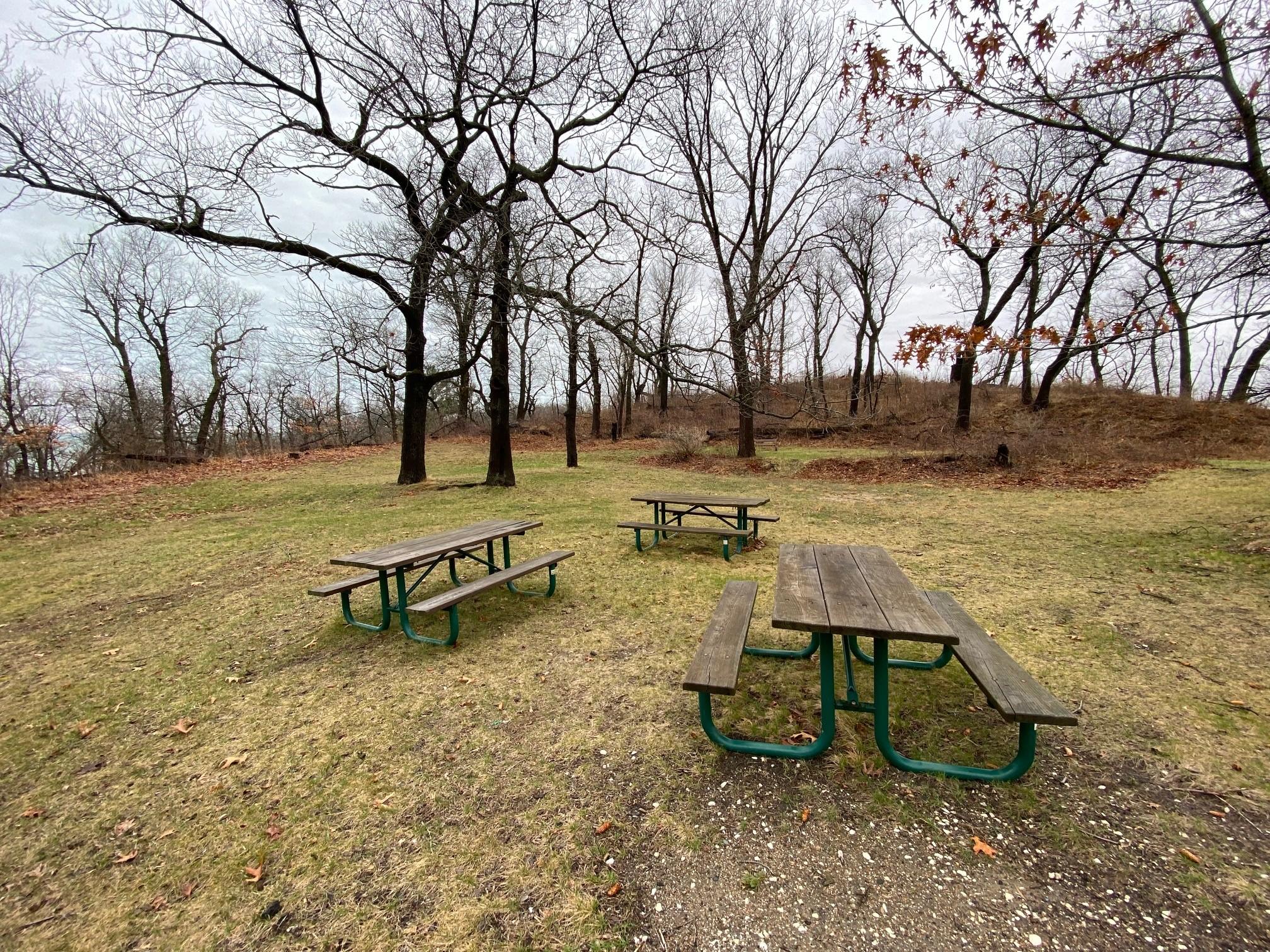 Picnic tables are placed in the middle of the group camp site