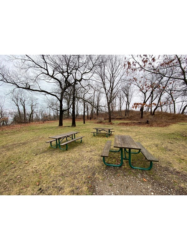 Picnic tables are placed in the middle of the group camp site