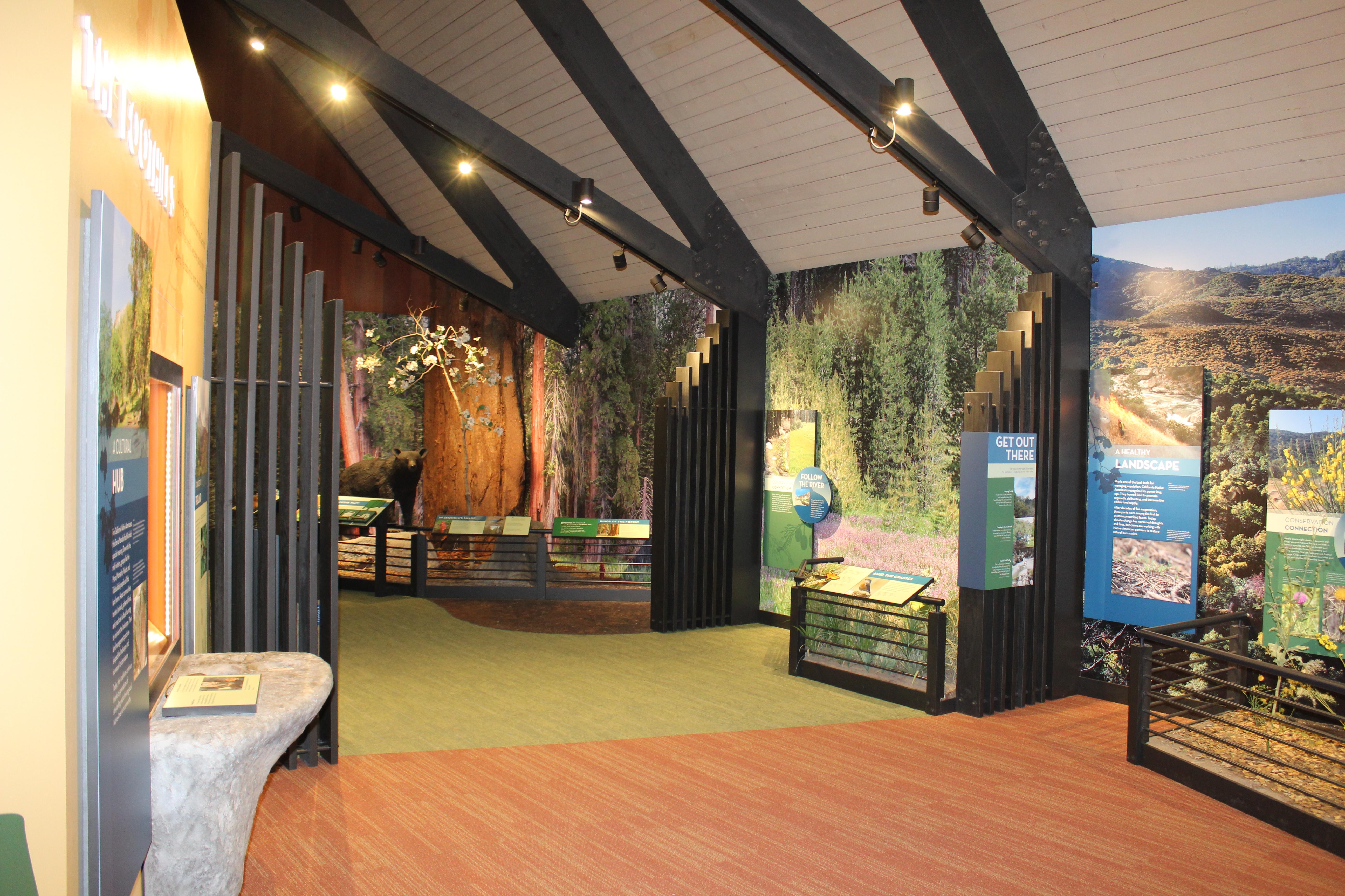 Museum displays at Lodgepole Visitor Center from 2023 renovation
