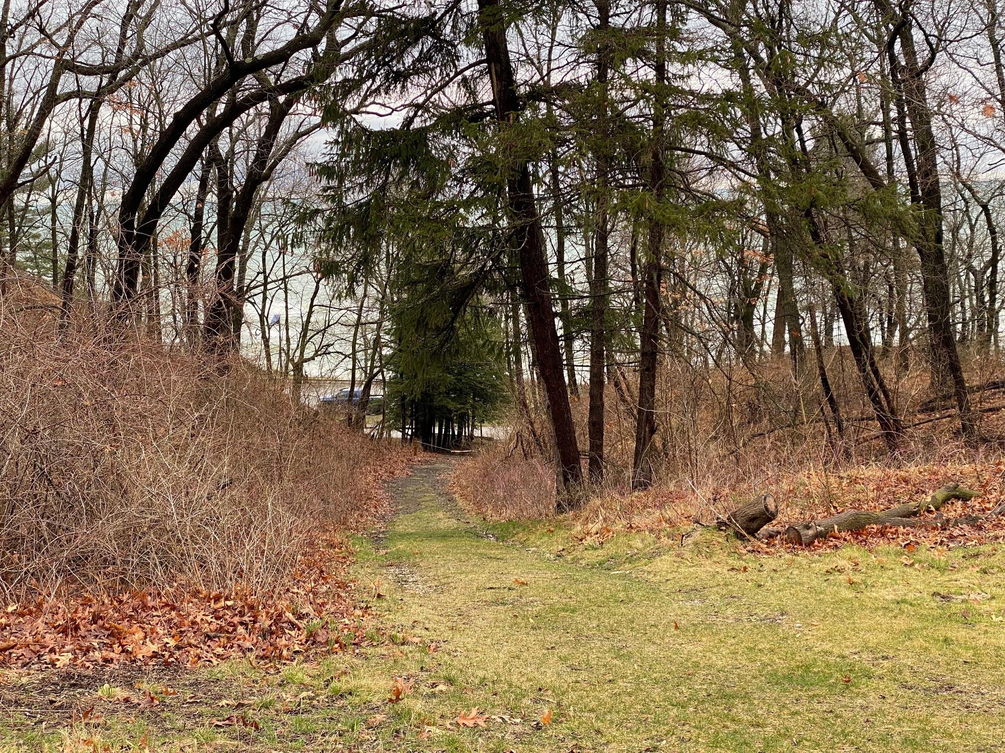 62953131-E005-151A-DF53B169D338E6D1.jpg?