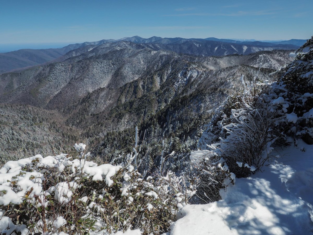 Great Smoky Mountains Crowds by Month: Crowd Calendar