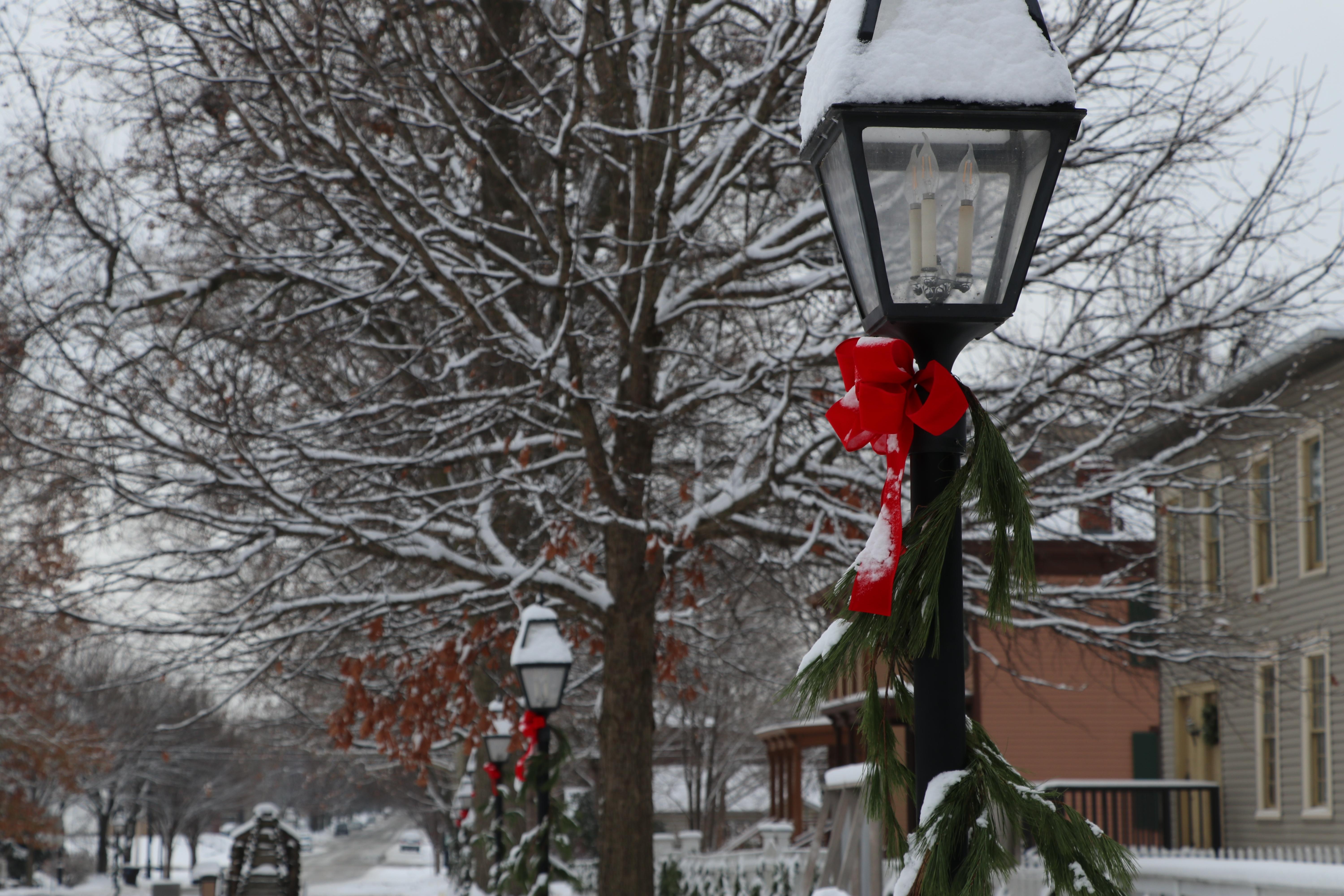 A street covered in snow and lined with trees, buildings, and streetlamps.