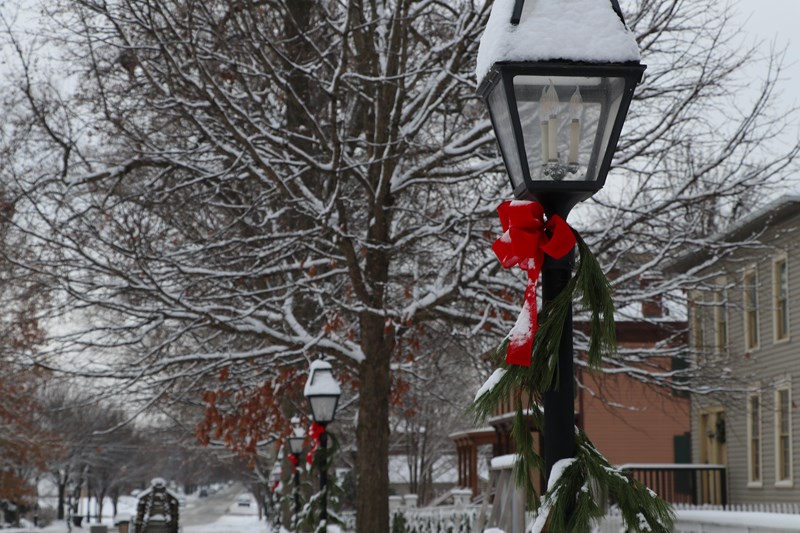 A street covered in snow and lined with trees, buildings, and streetlamps.