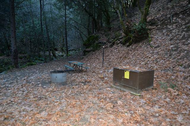 Site 1 at Crystal Creek Campground, Whiskeytown, shaded by a canopy of fir, maple and pine