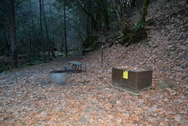 Site 1 at Crystal Creek Campground, Whiskeytown, shaded by a canopy of fir, maple and pine