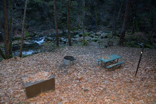 Site 1 at Crystal Creek Campground looking toward the creek