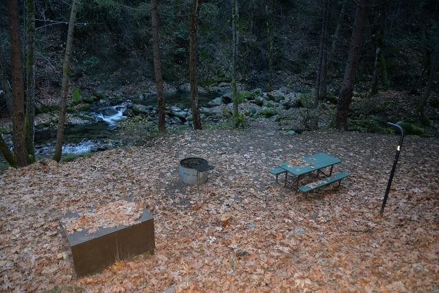 Site 1 at Crystal Creek Campground looking toward the creek