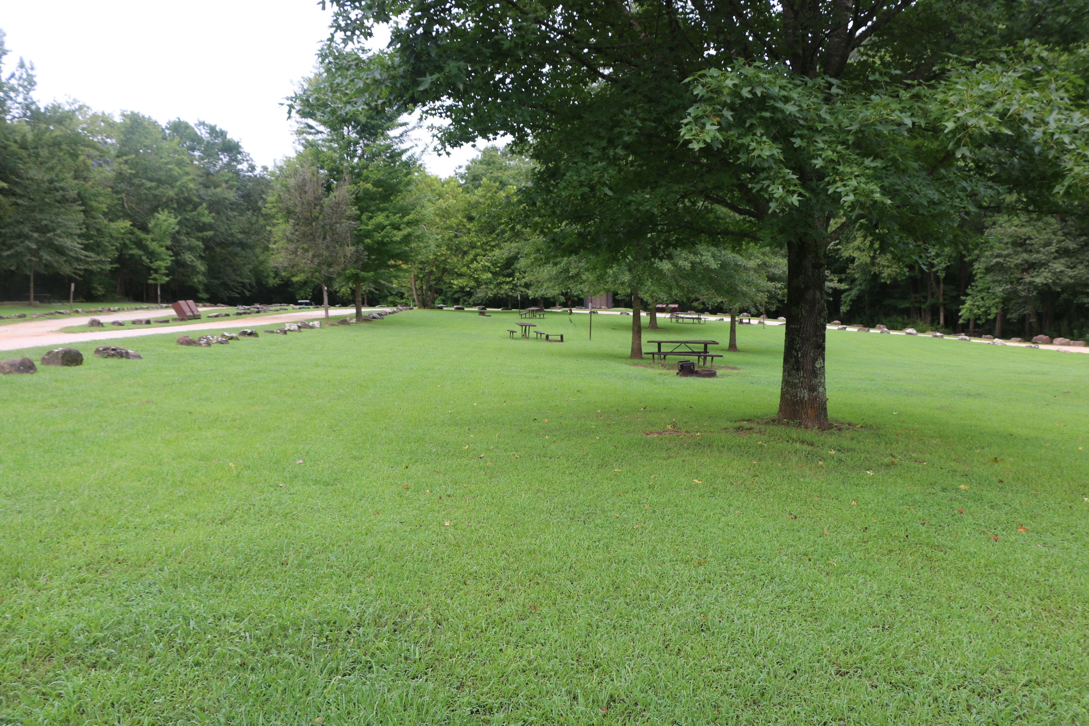 Picnic tables and fire rings at designated tent sites at Kyle's Landing