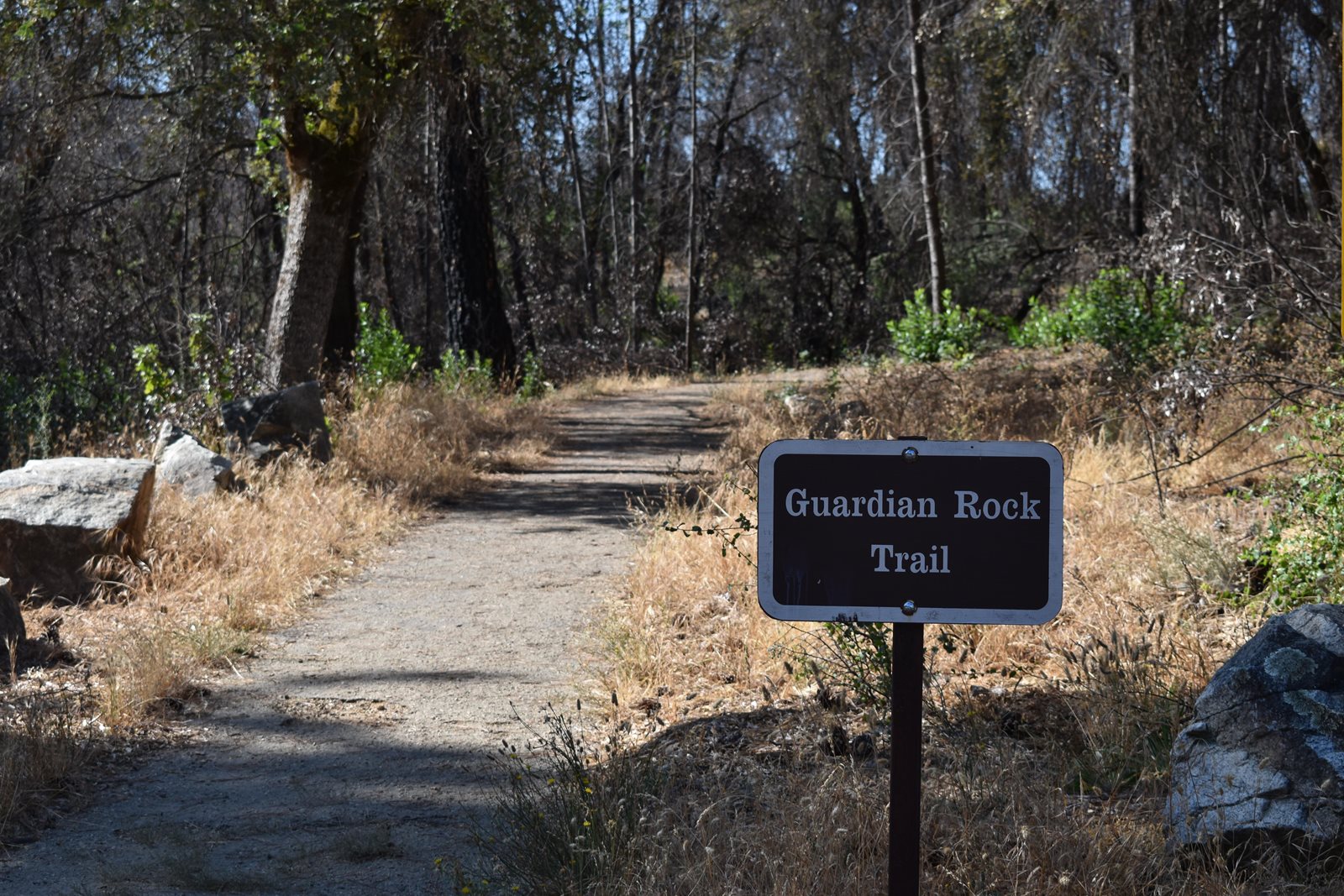 Guardian Rock trailhead sign near Horse Camp — the trail rather than the campground