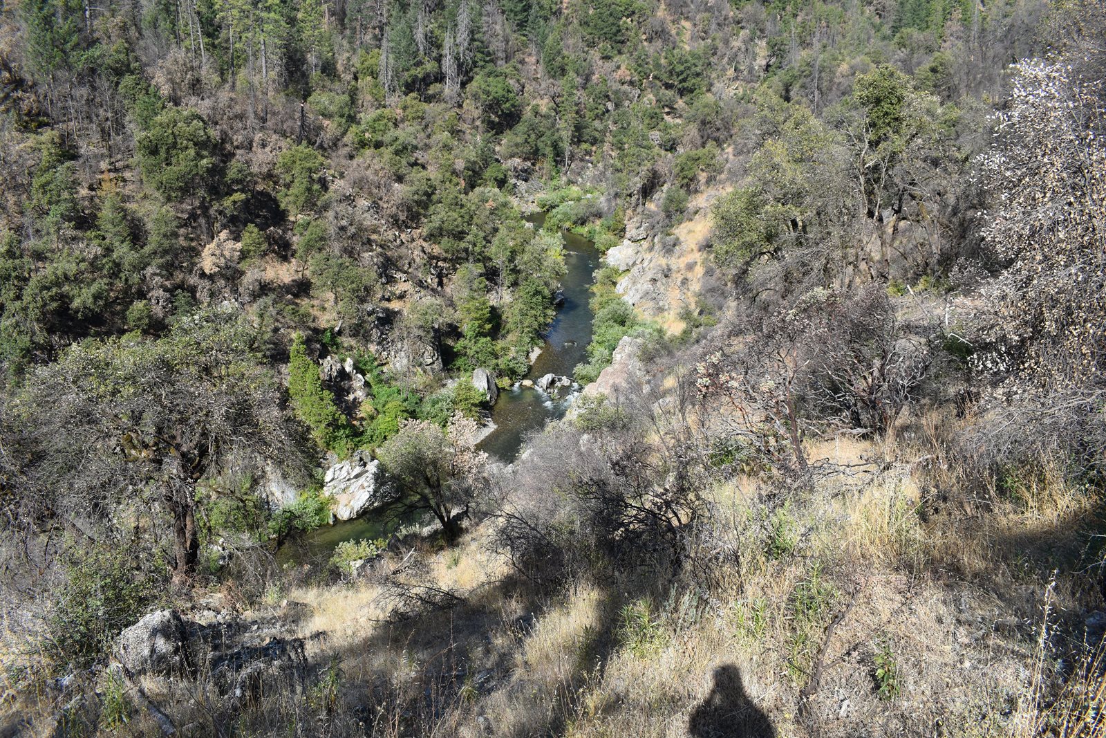 Clear Creek seen from the trail near Horse Camp, Whiskeytown