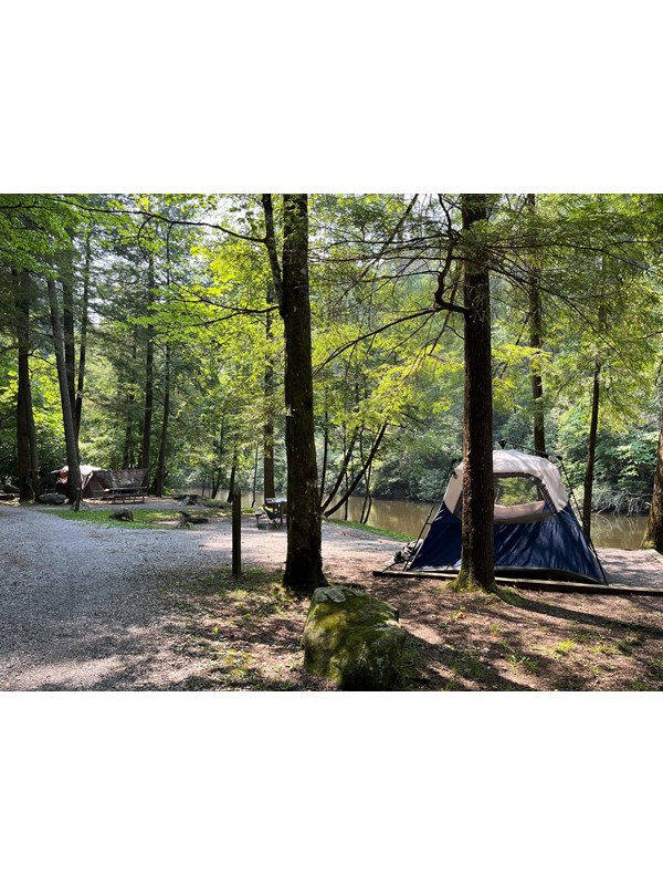 Three campsites in a forested area near a creek, one with a large blue and white tent.
