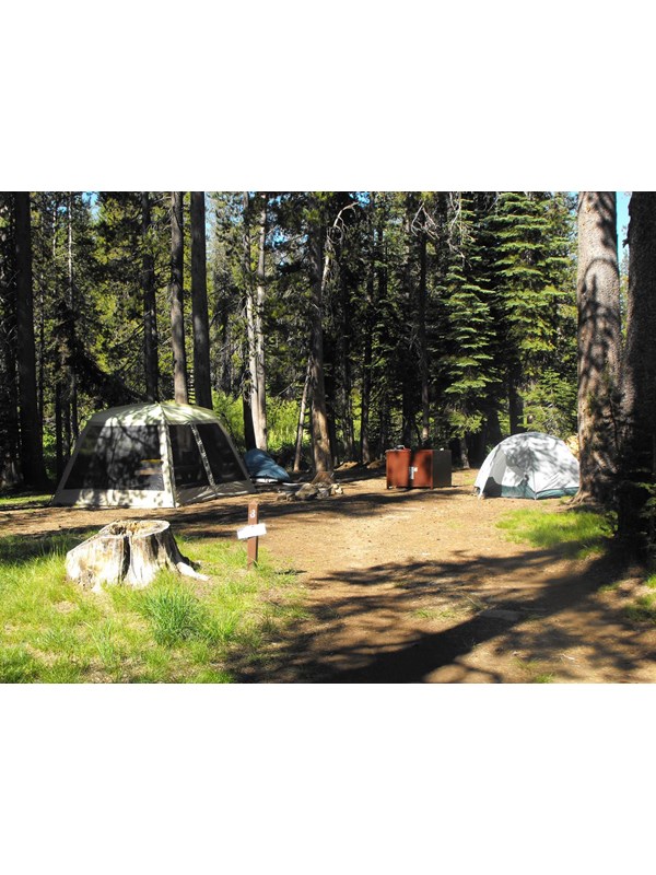 A tree-lined campsite with a tent and metal bear box .