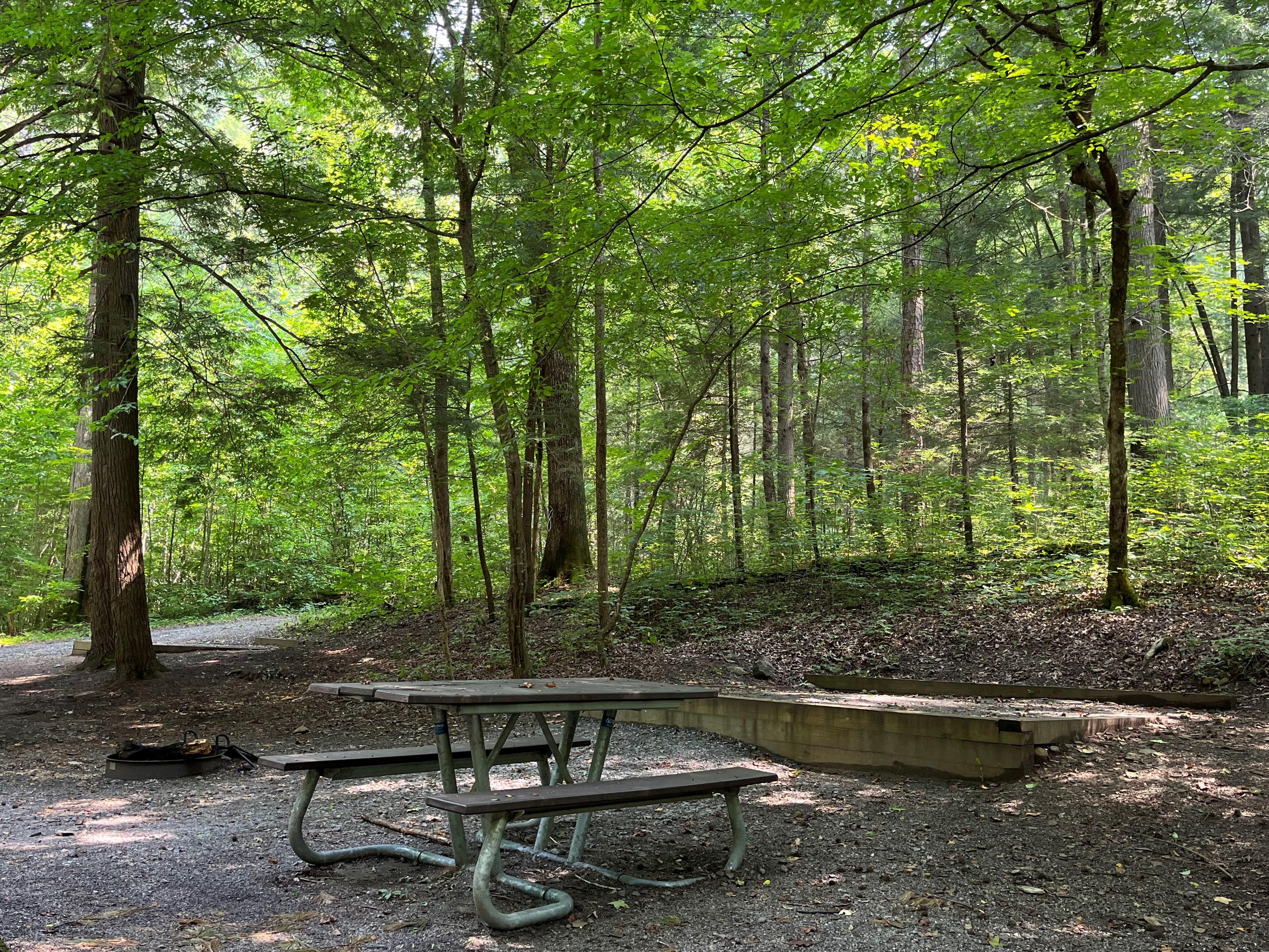 A forested campsite with a tent pad, picnic table, and grill. A nearby tent pad is visible.