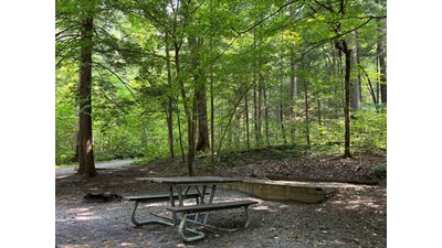 A forested campsite with a tent pad, picnic table, and grill. A nearby tent pad is visible.