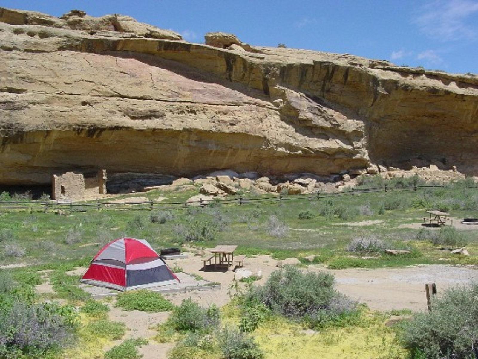 A tent on a pad in the Gallo Campground surrounded by green shrubbery and canyon walls.