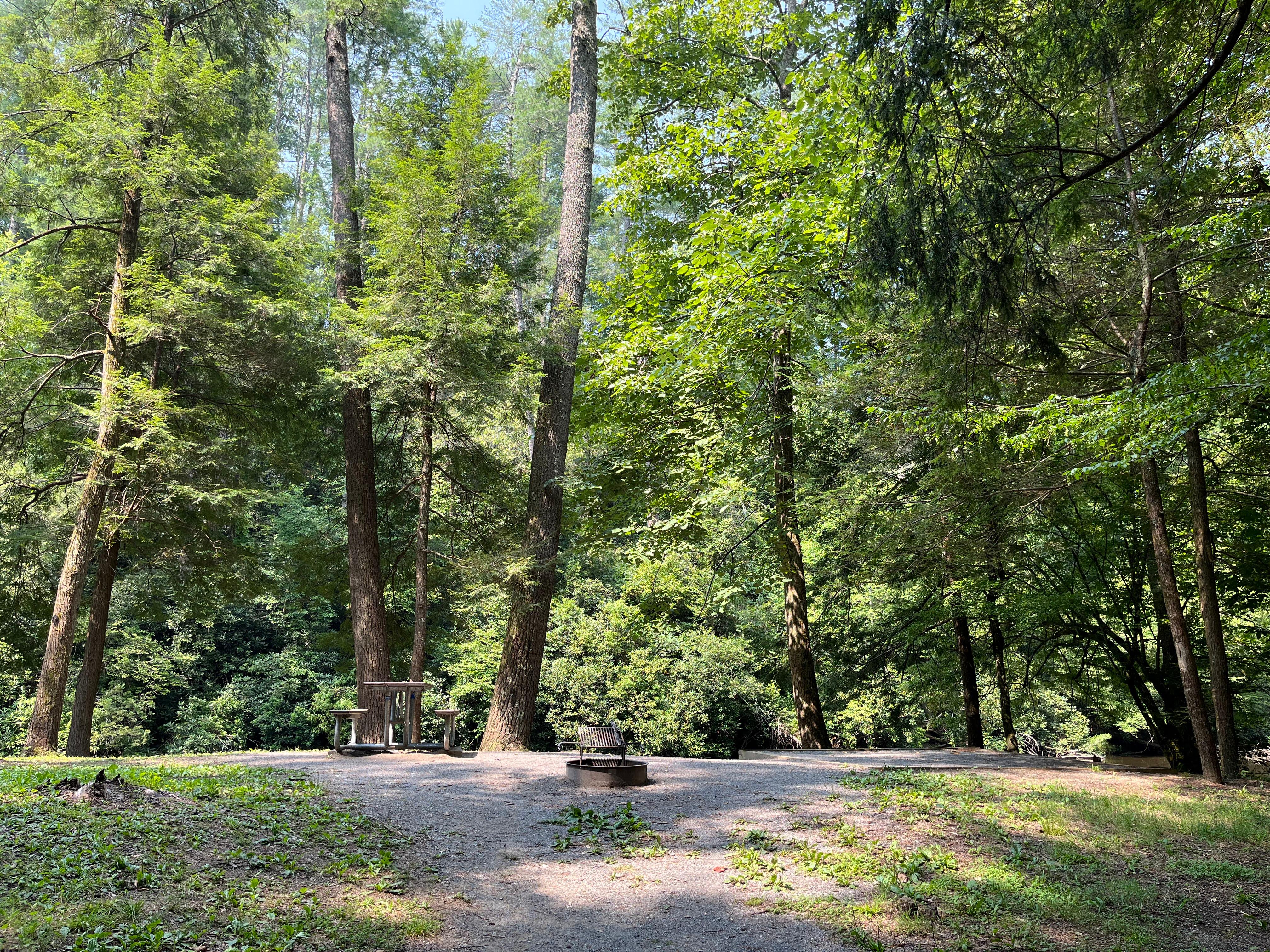 A tent pad, grill, and picnic table at a waterside site under a green canopy of trees.