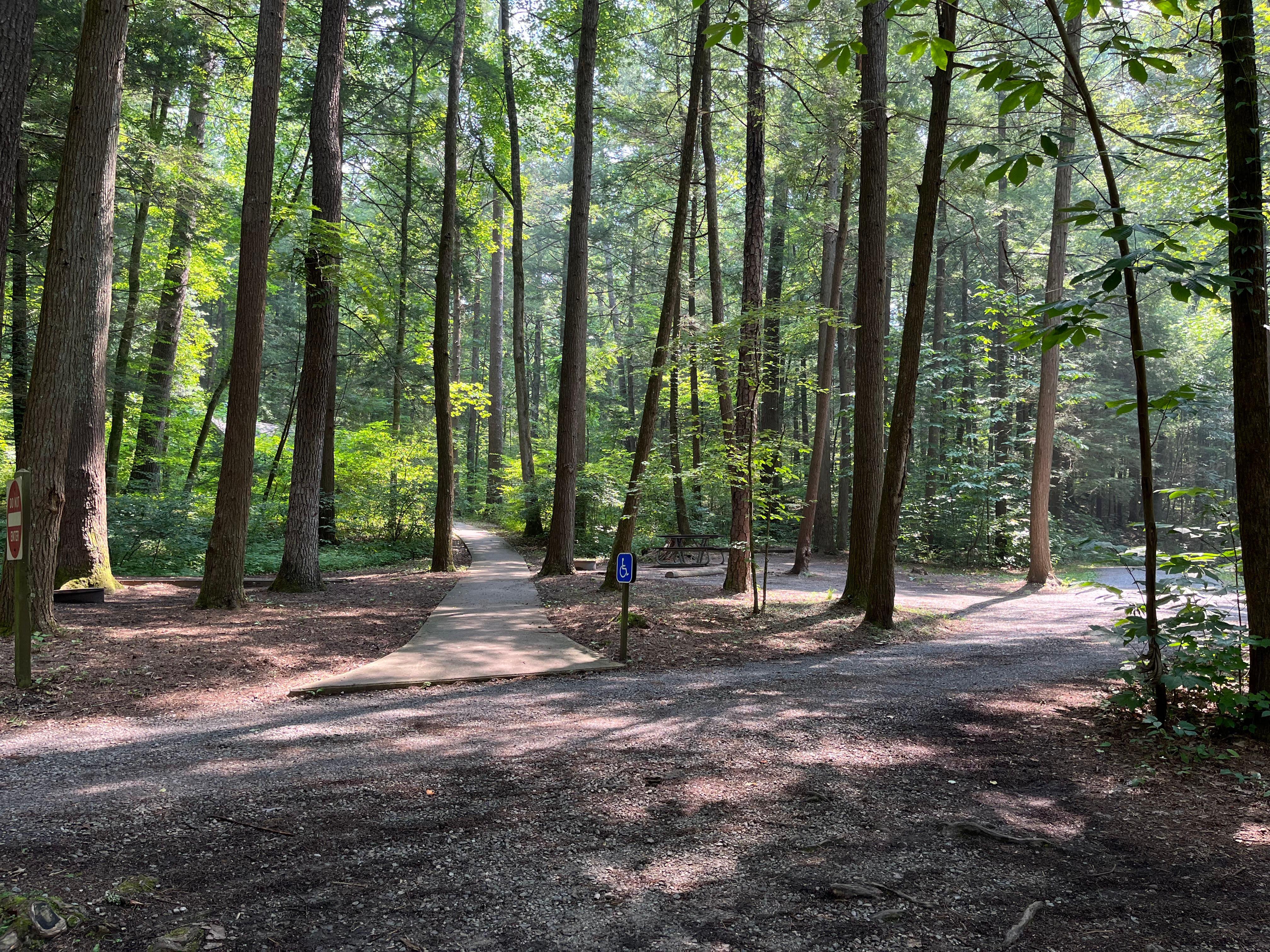 Abrams falls campground 2025