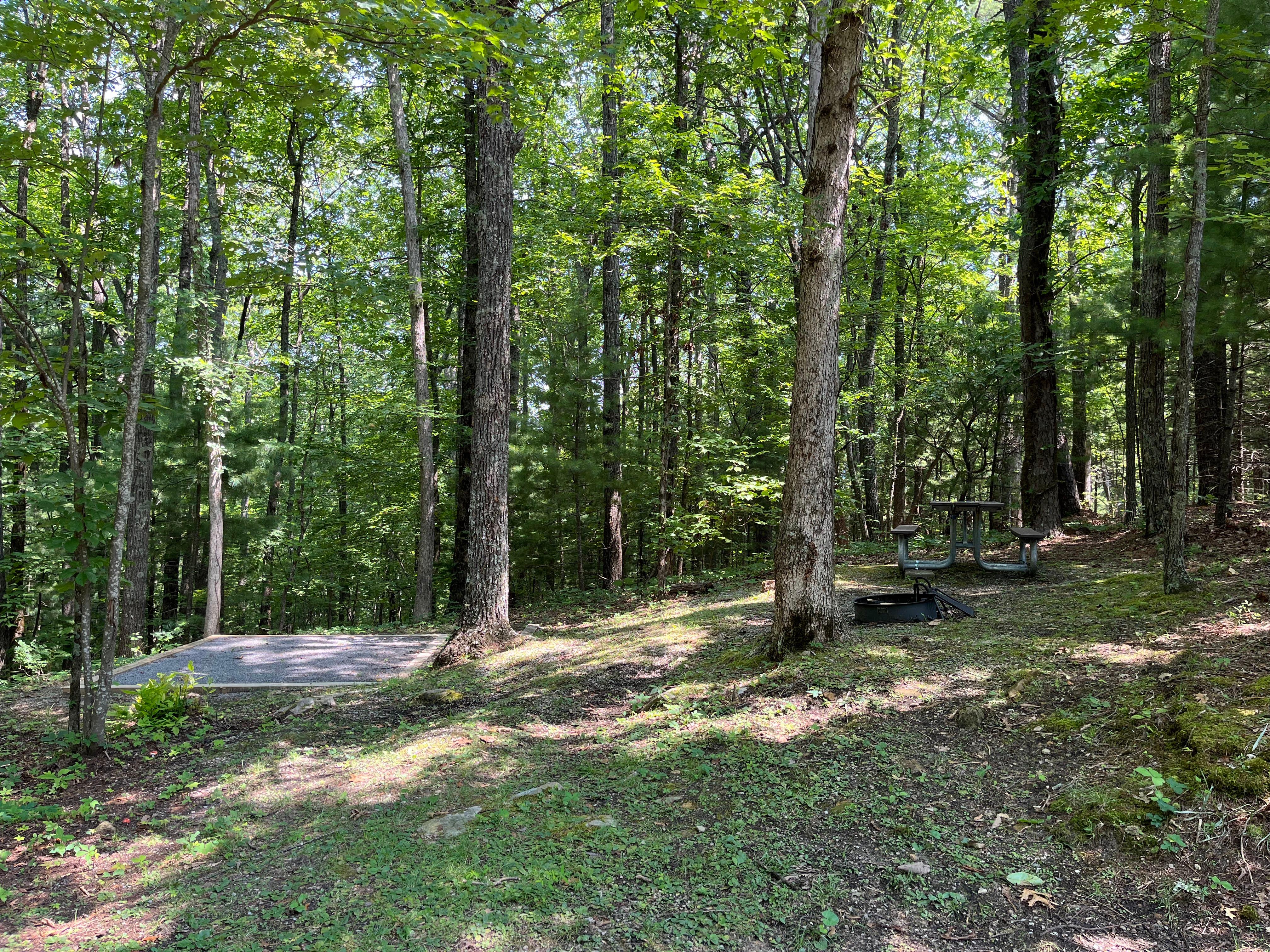 Some sites are sloped at Look Rock Campground.