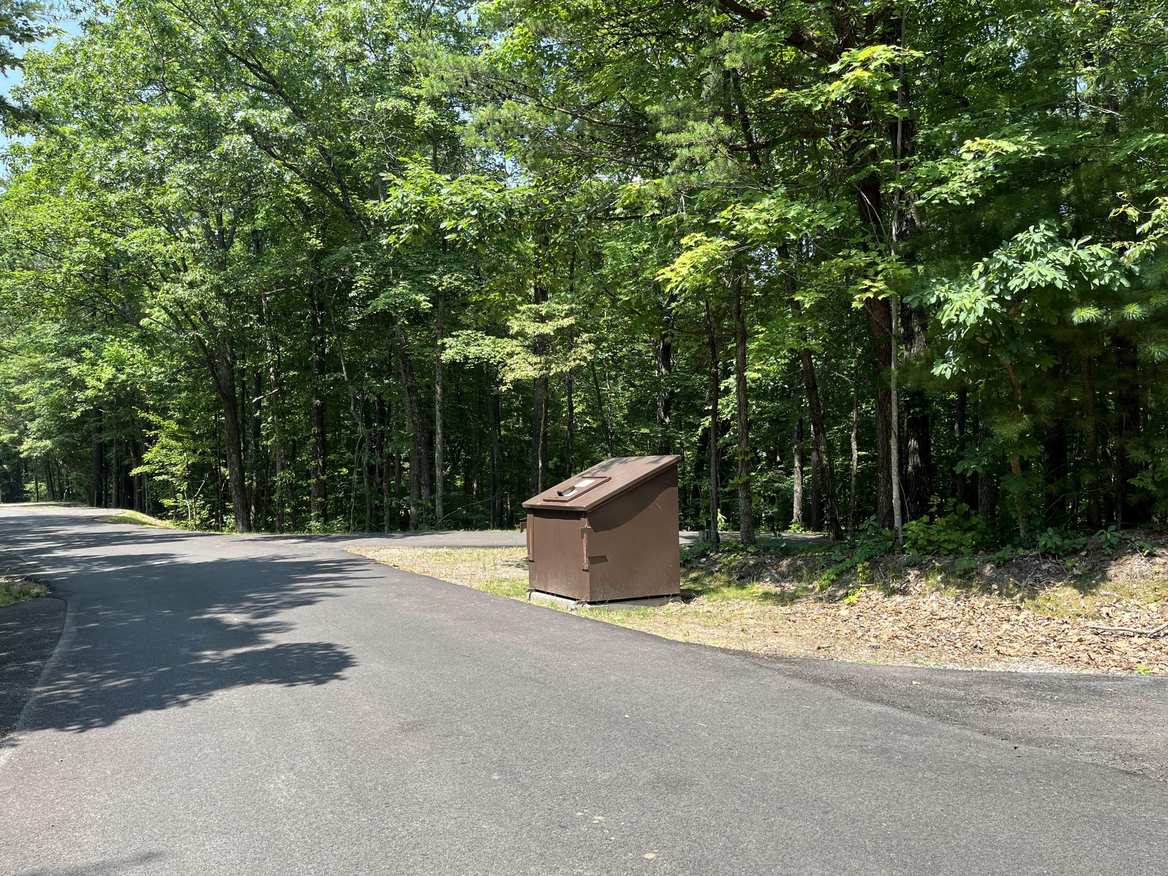Bear-proof dumpsters are located throughout Look Rock Campground.