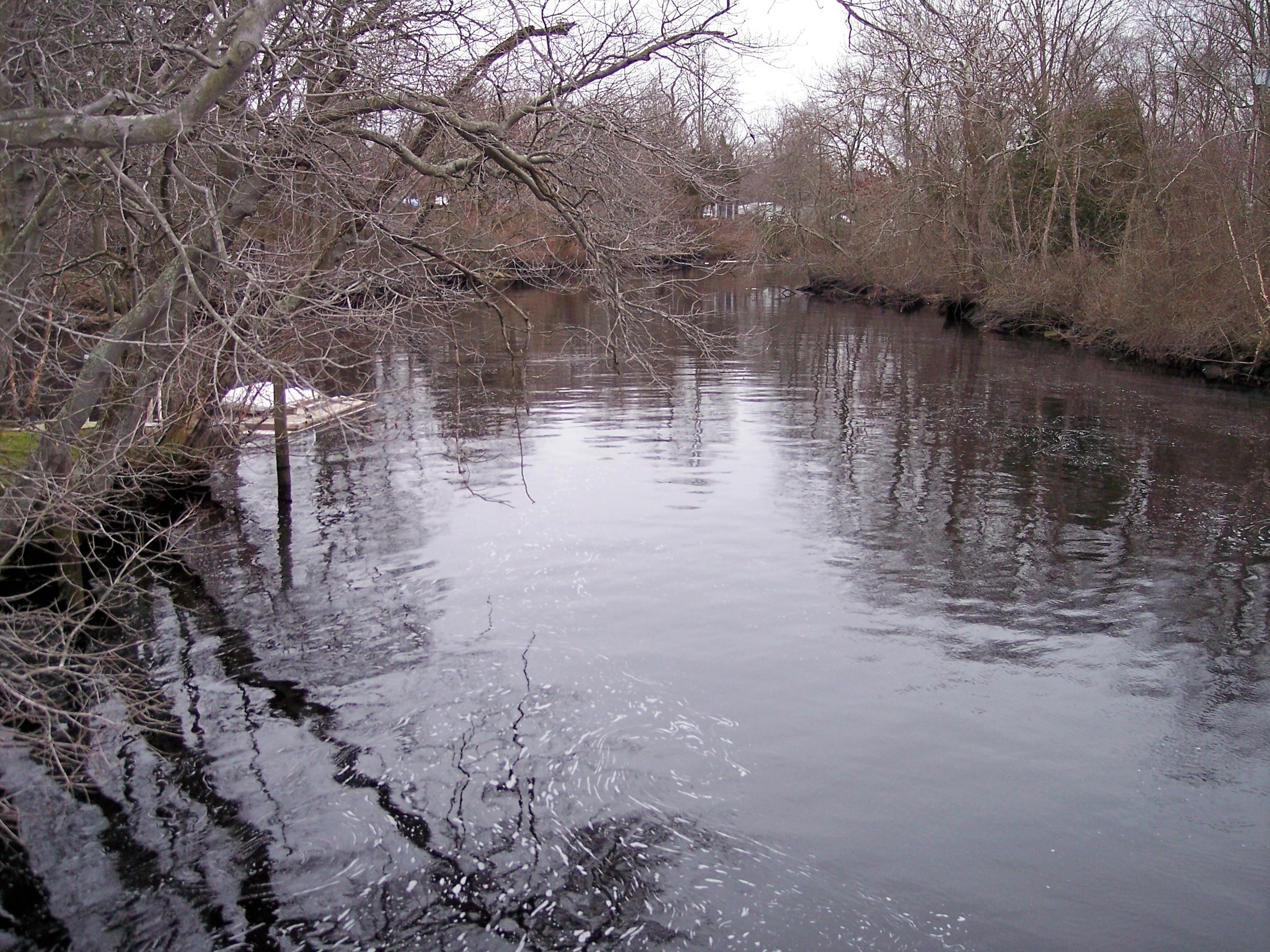 Still river in the winter with leafless trees on either side