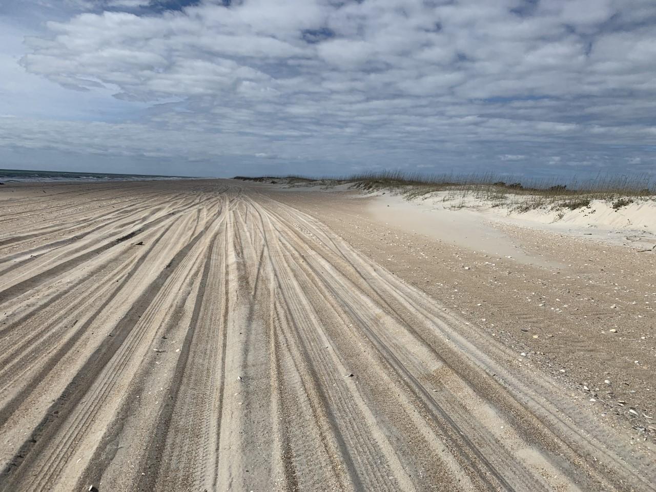 Open beach with dunes on the right and ocean on the left