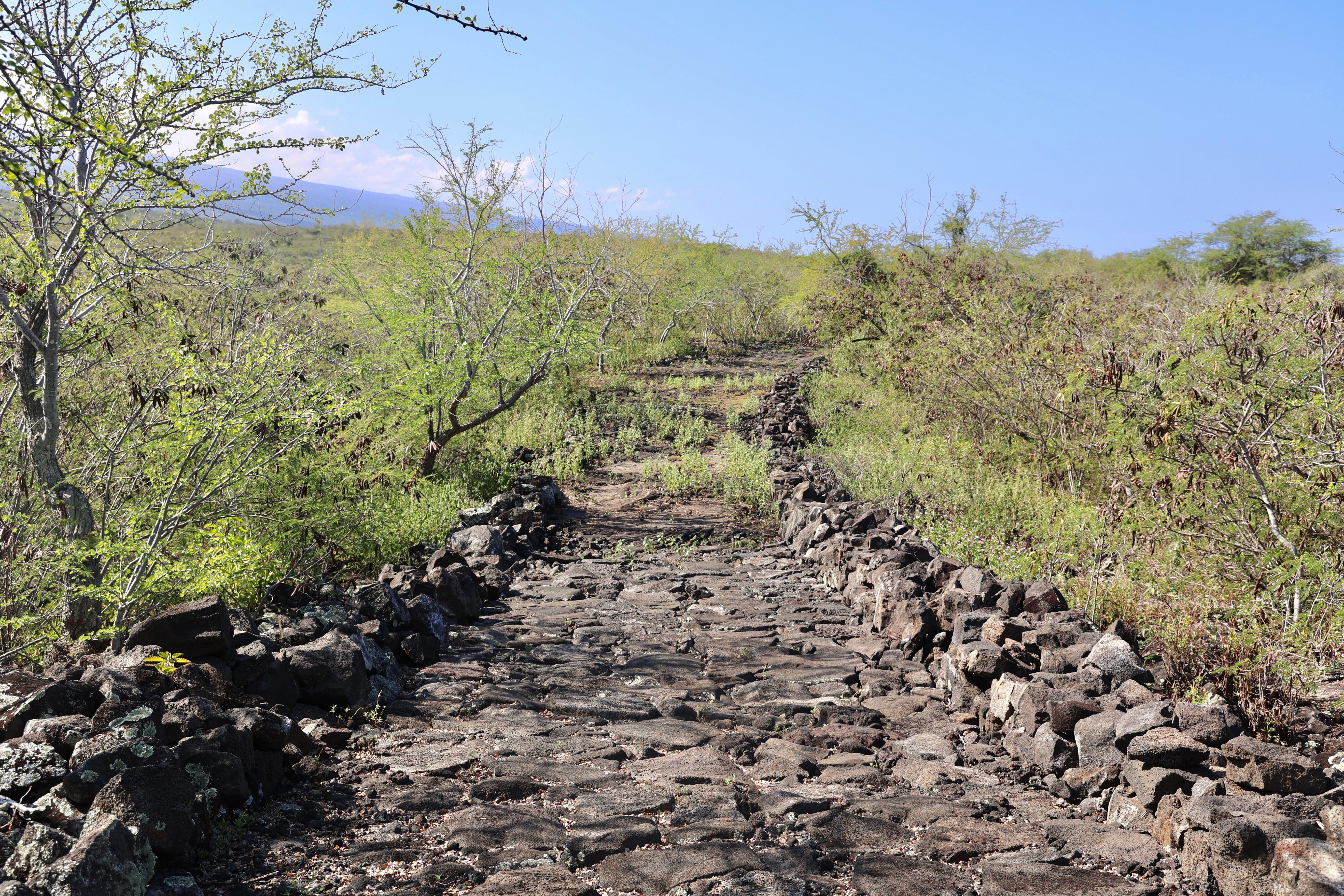 Paved stone trail