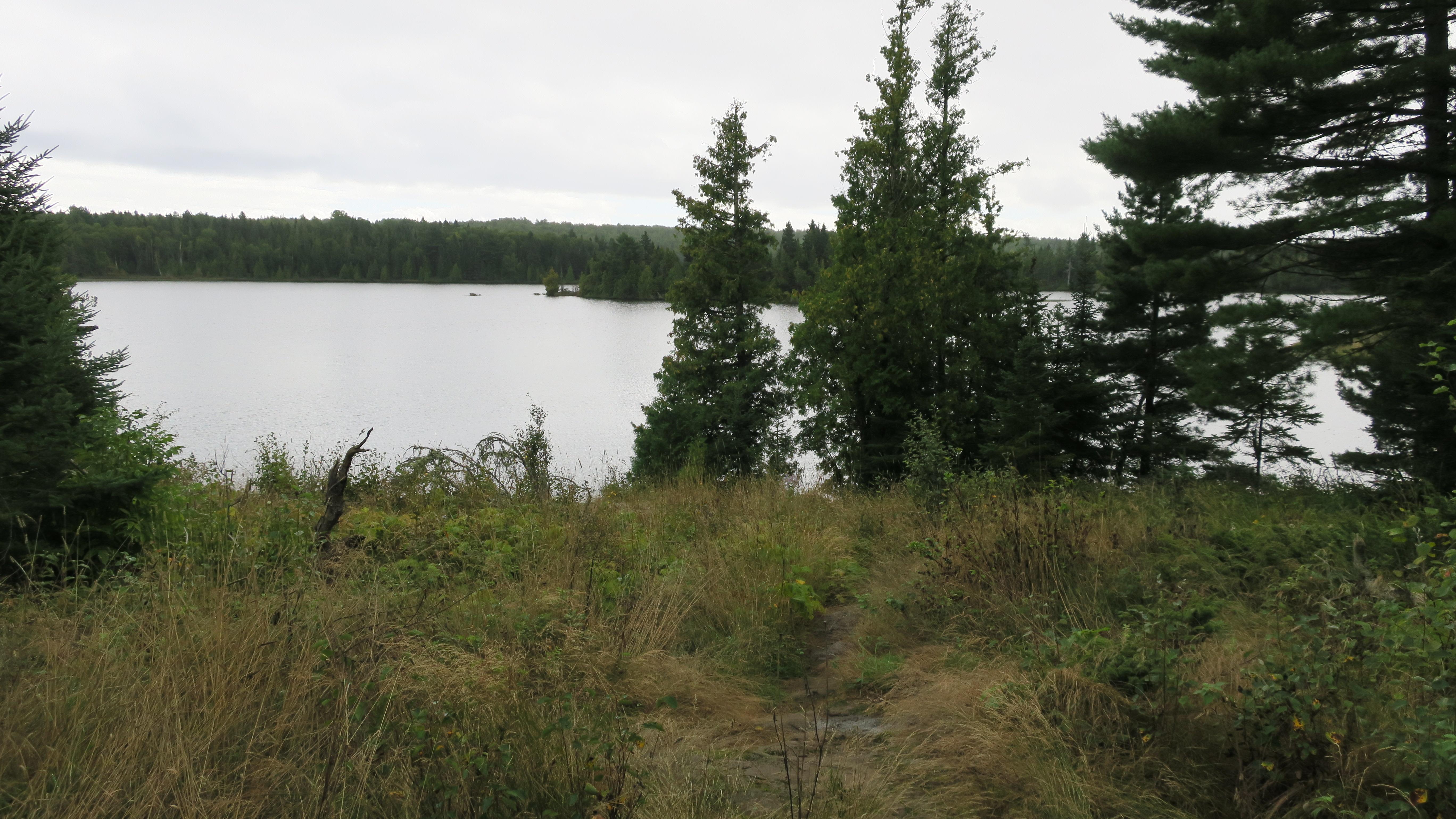 View of Lake Richie with a few trees along the shoreline.