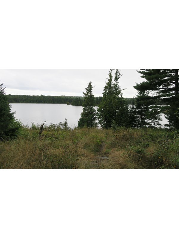 View of Lake Richie with a few trees along the shoreline.