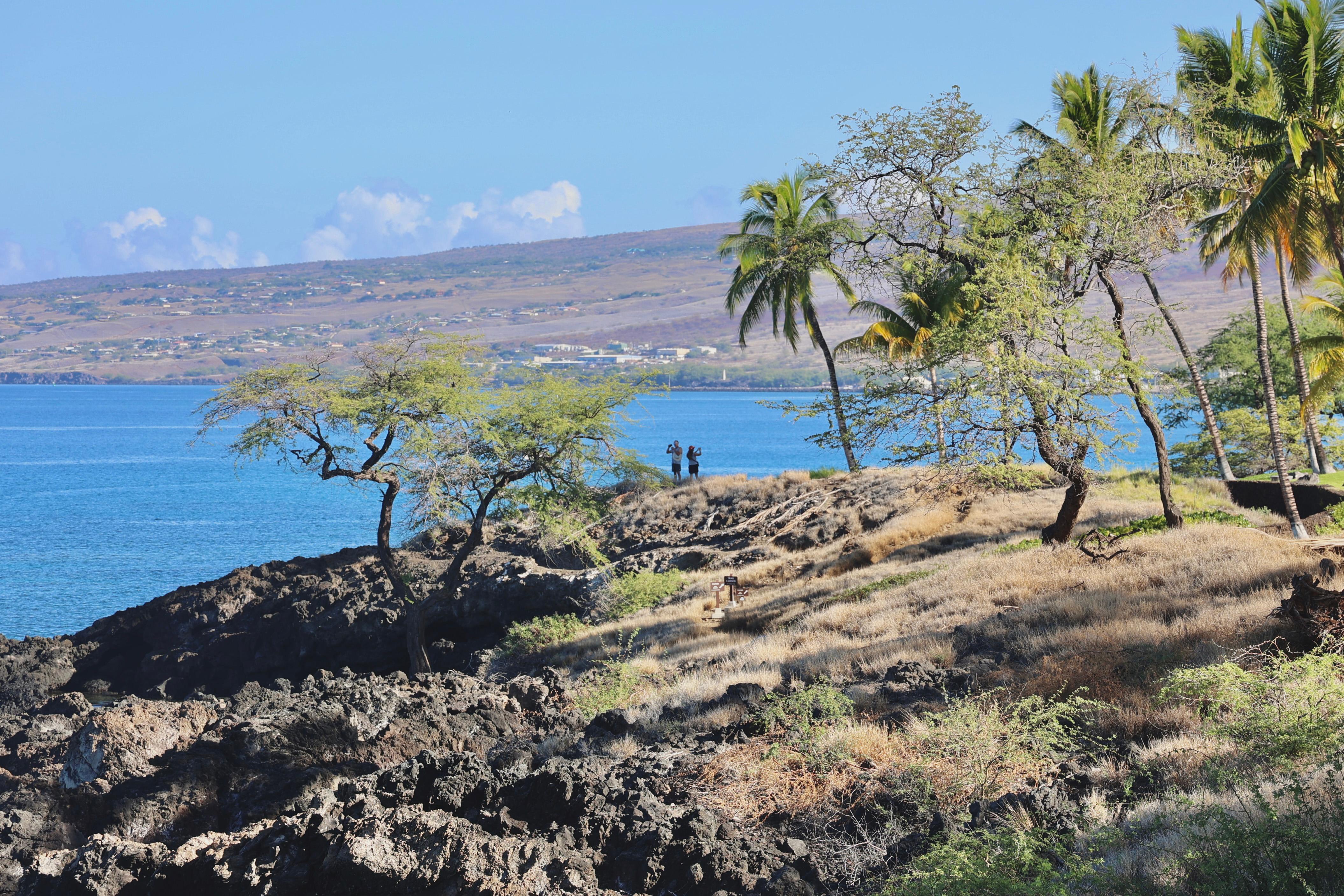 Coastal trail section of Ala Kahakai