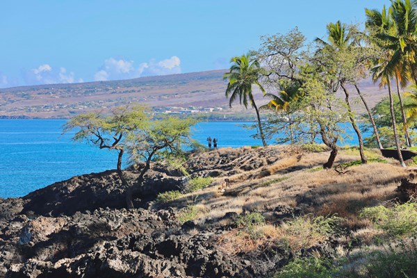 Coastal trail section of Ala Kahakai