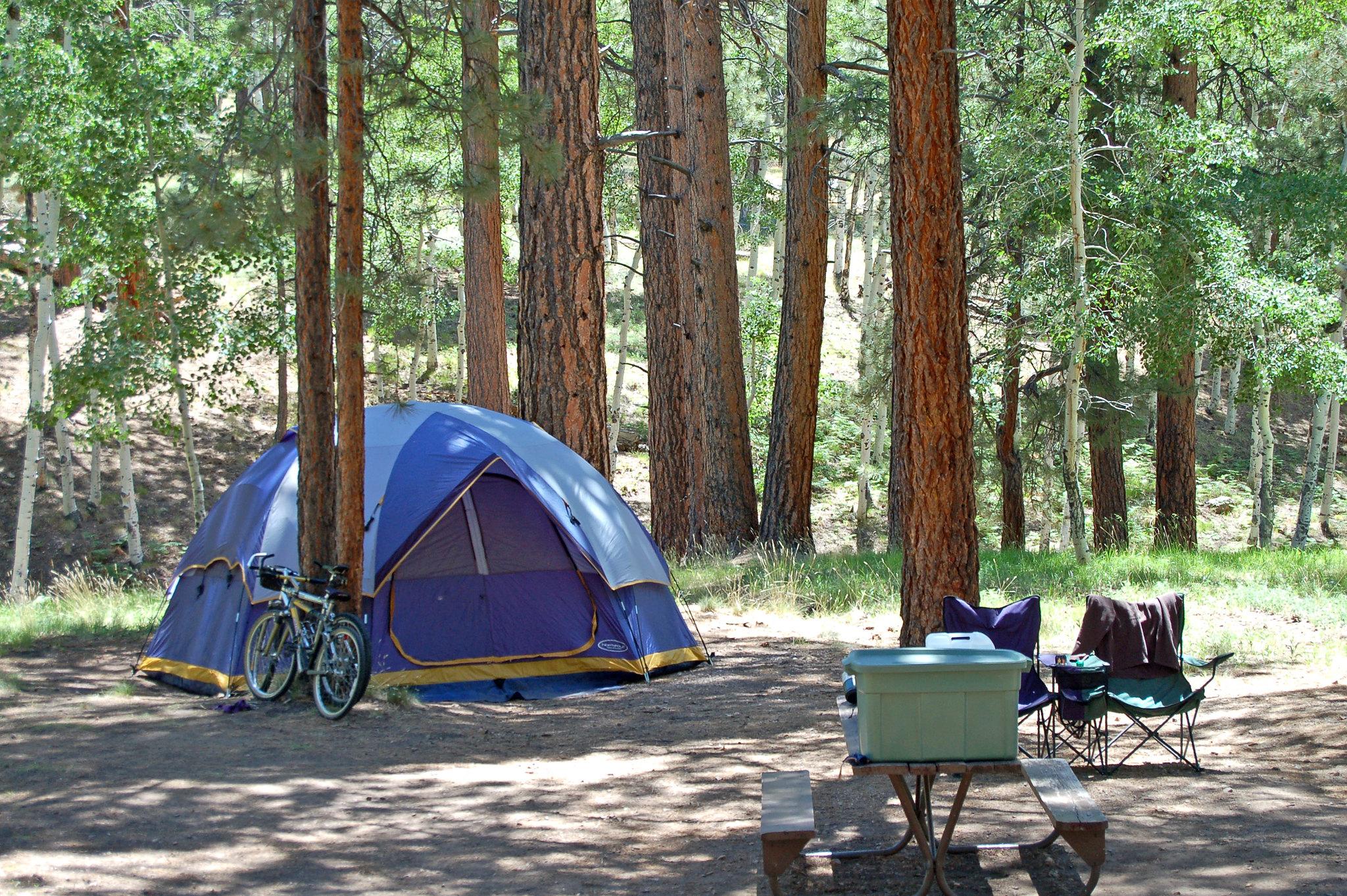 Two bicycles parked next to a large blue tent under pine trees. Picnic table in the foreground.