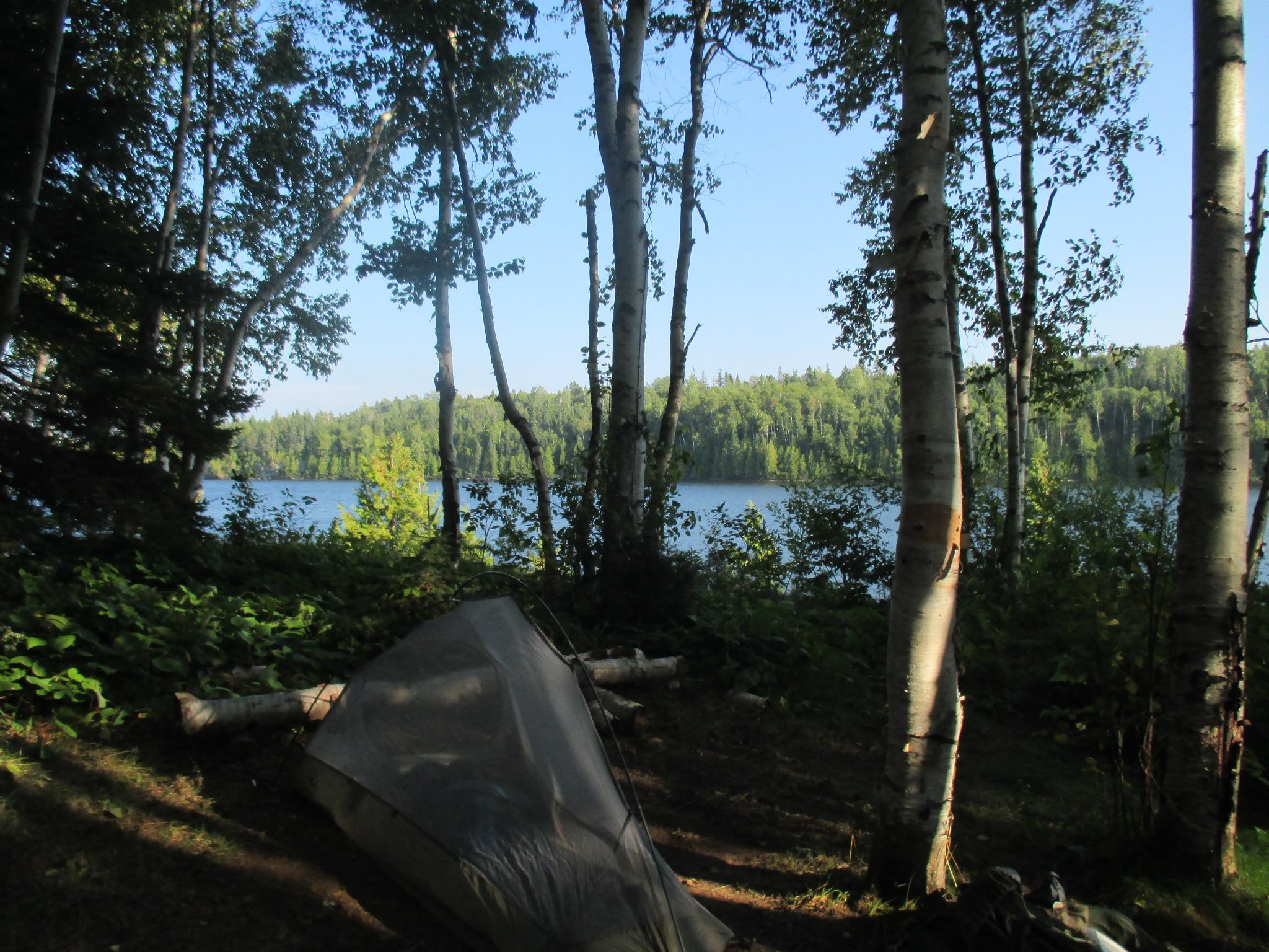 Tent in shadow beneath trees with lake in the distance.