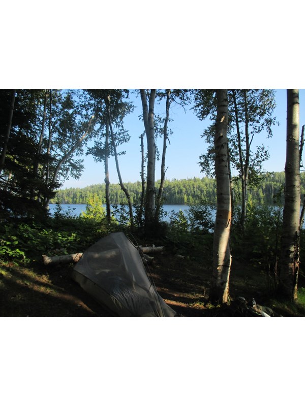 Tent in shadow beneath trees with lake in the distance.