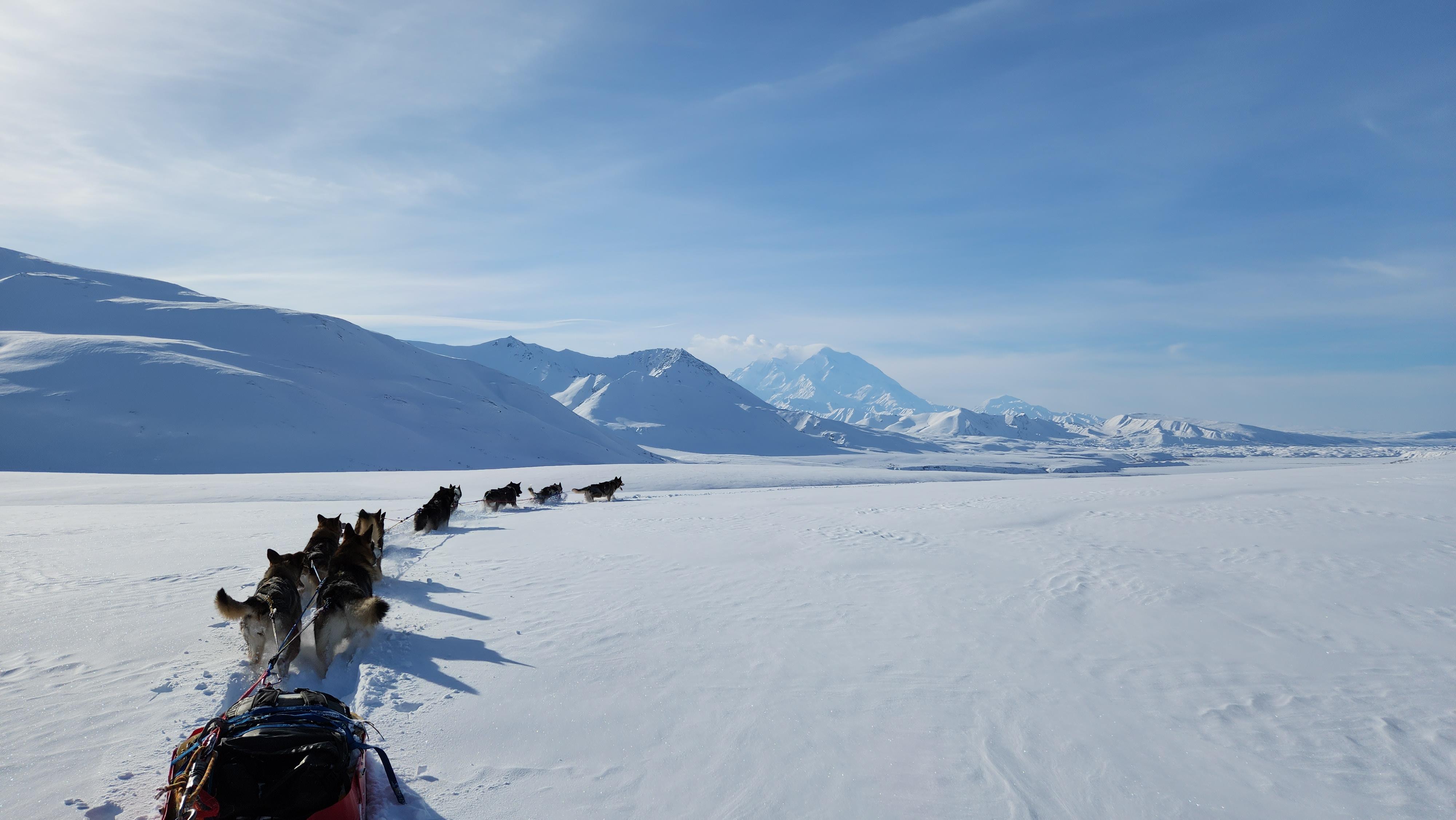 A team of several huskies pulls a sled across a vast, snowy, winter landscape.