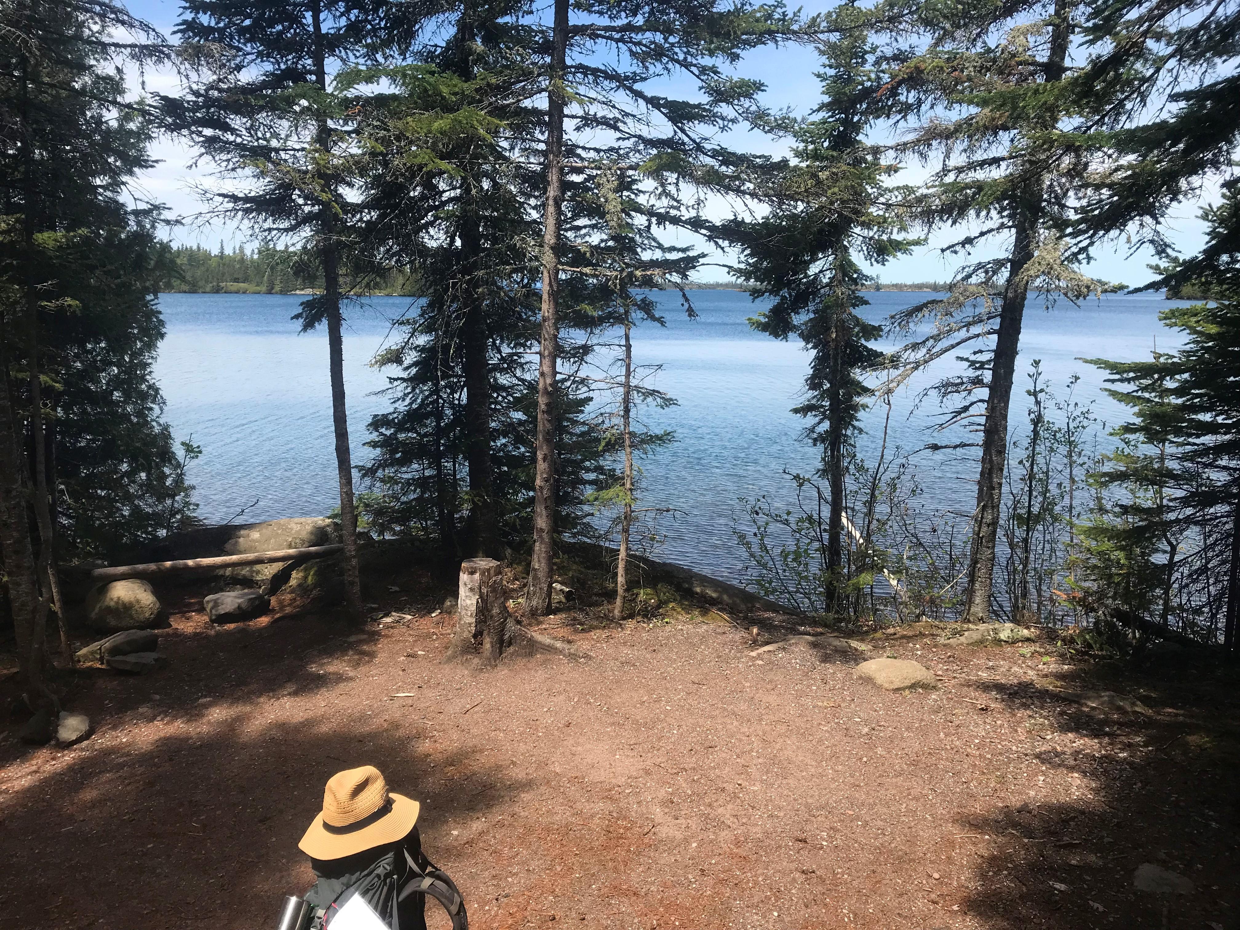 Backpack with a hat atop it resting in a cleared area, Trees edge the shoreline of Lake Superior.