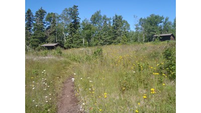 Trail in a field to two shelters along the forest's edge.