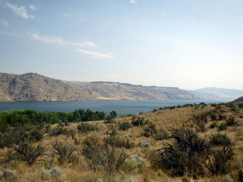 Lake Roosevelt Spring Canyon Landscape Tan and green plants create a hillside overlooking a blue lake, grey mountains, and a light blue sky