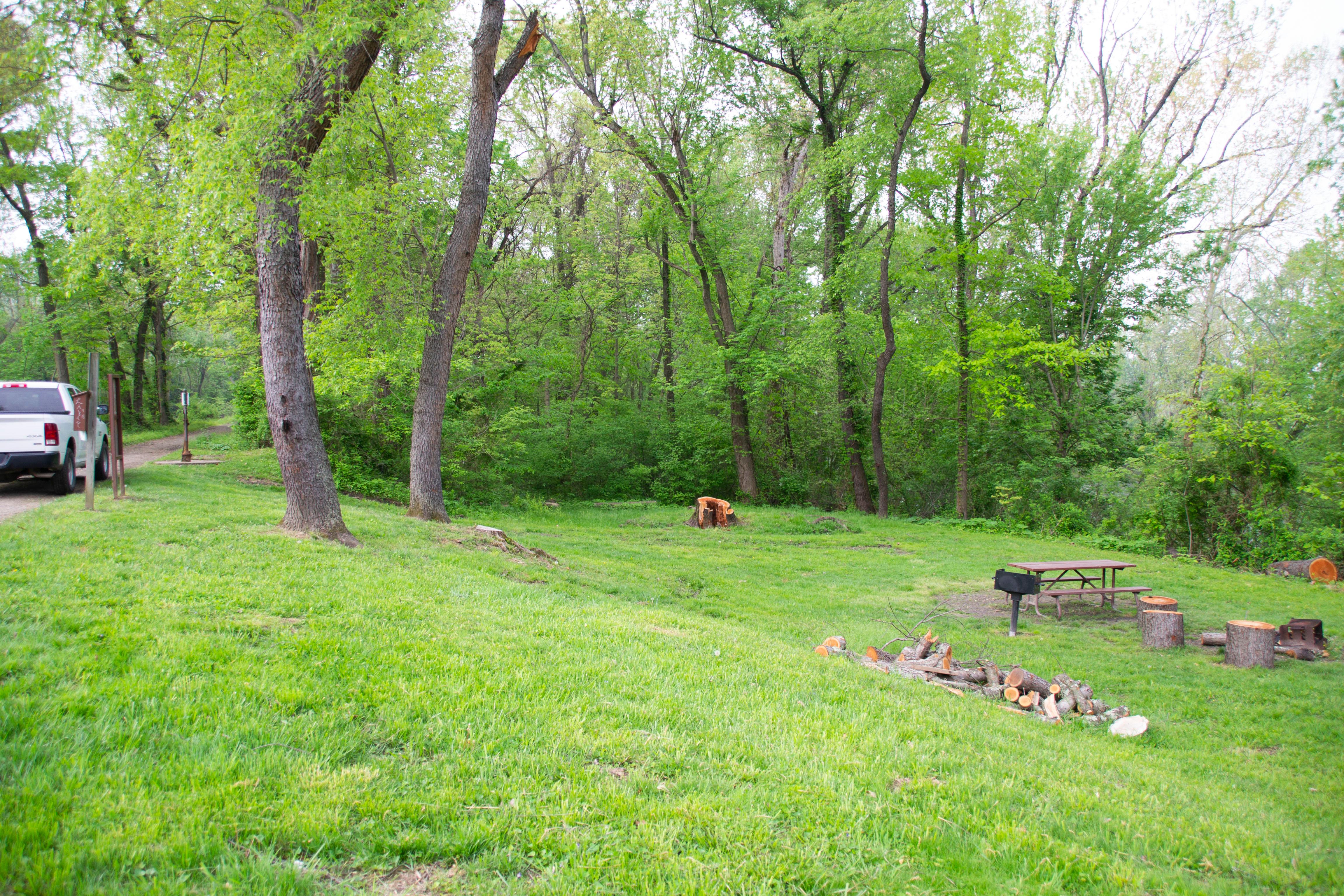 A grass filled campsite