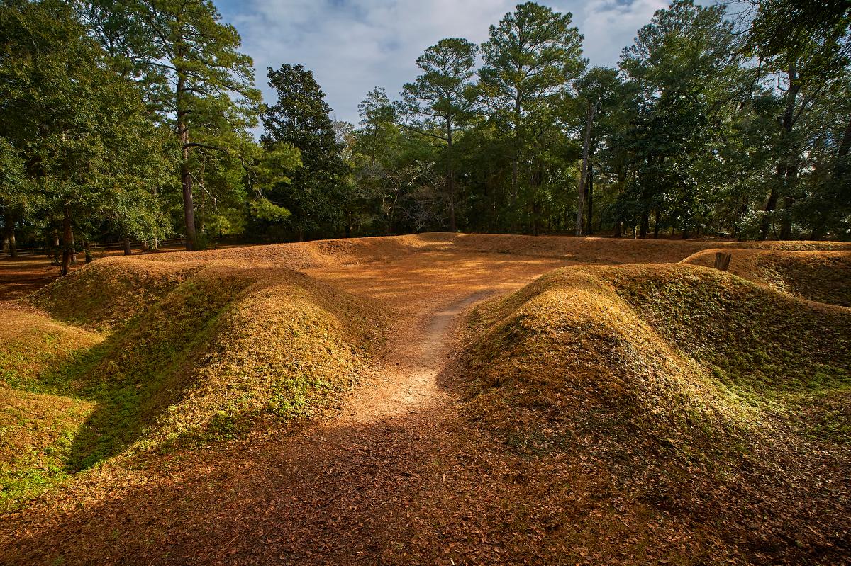 An earthworks covered in reddish-green grass about 4 feet high in a star pattern