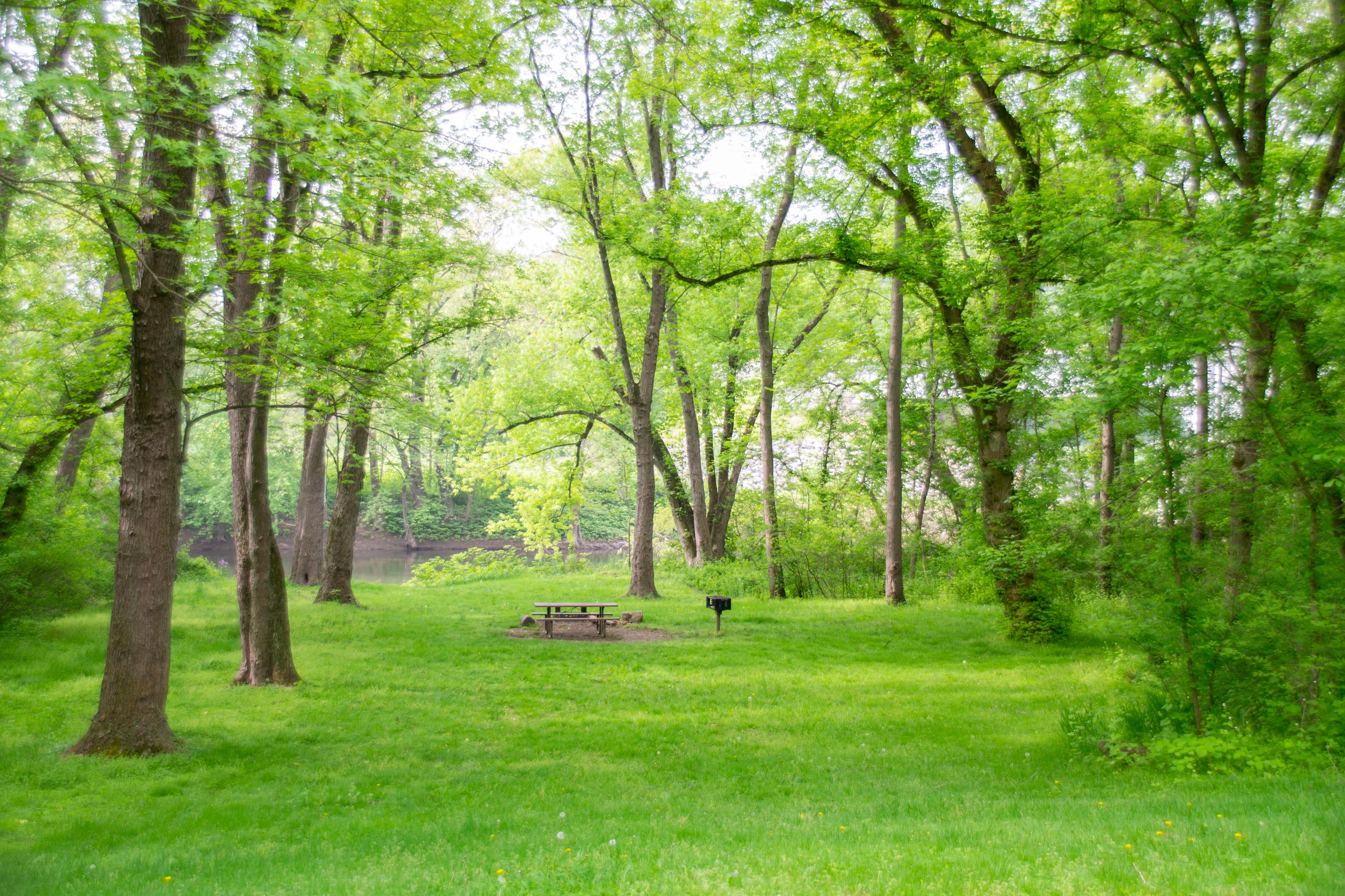 A grass covered campsite