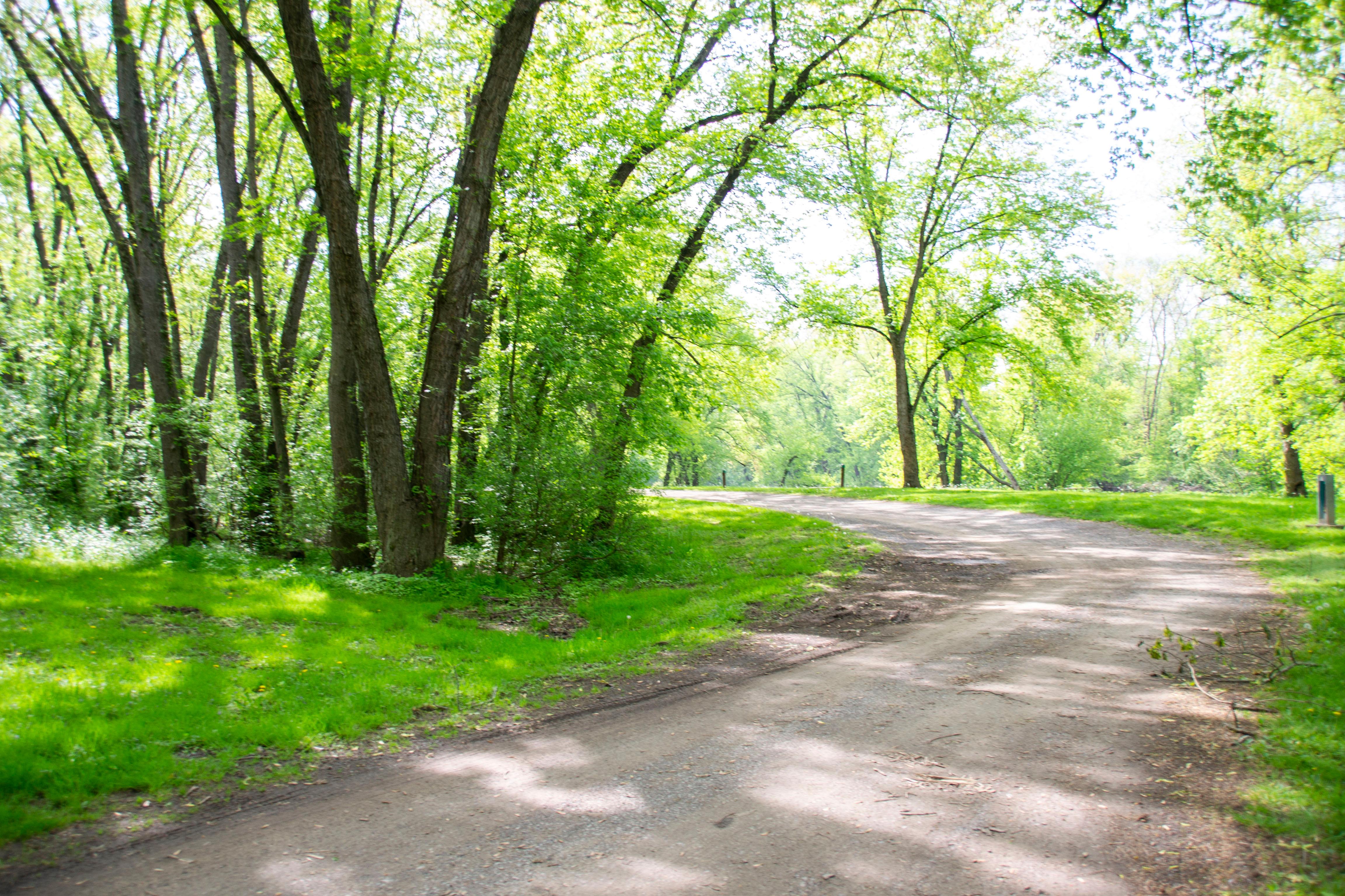 A path leads to a green campsite.