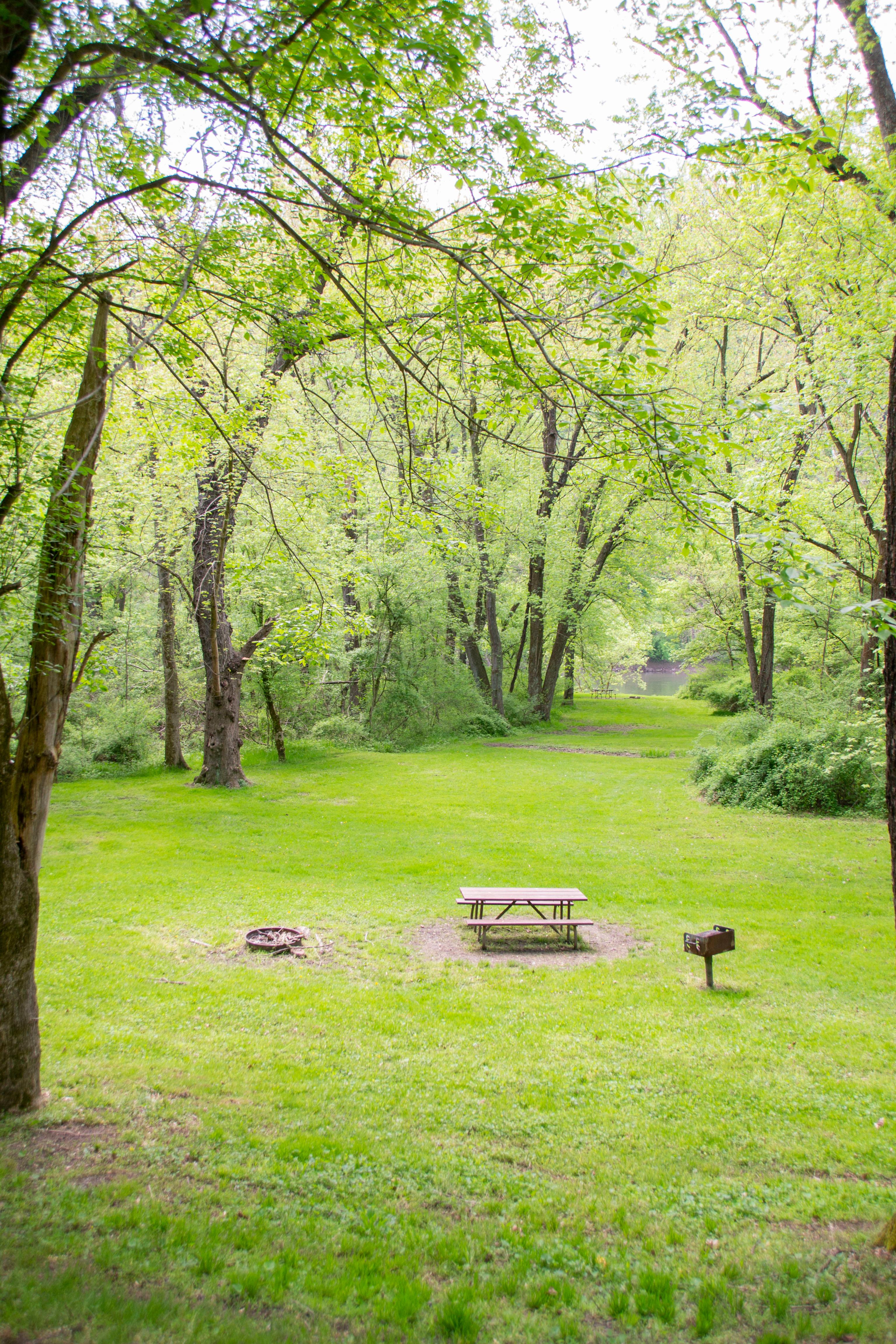 A grassy area with a picnic table, grill, and fire pit.