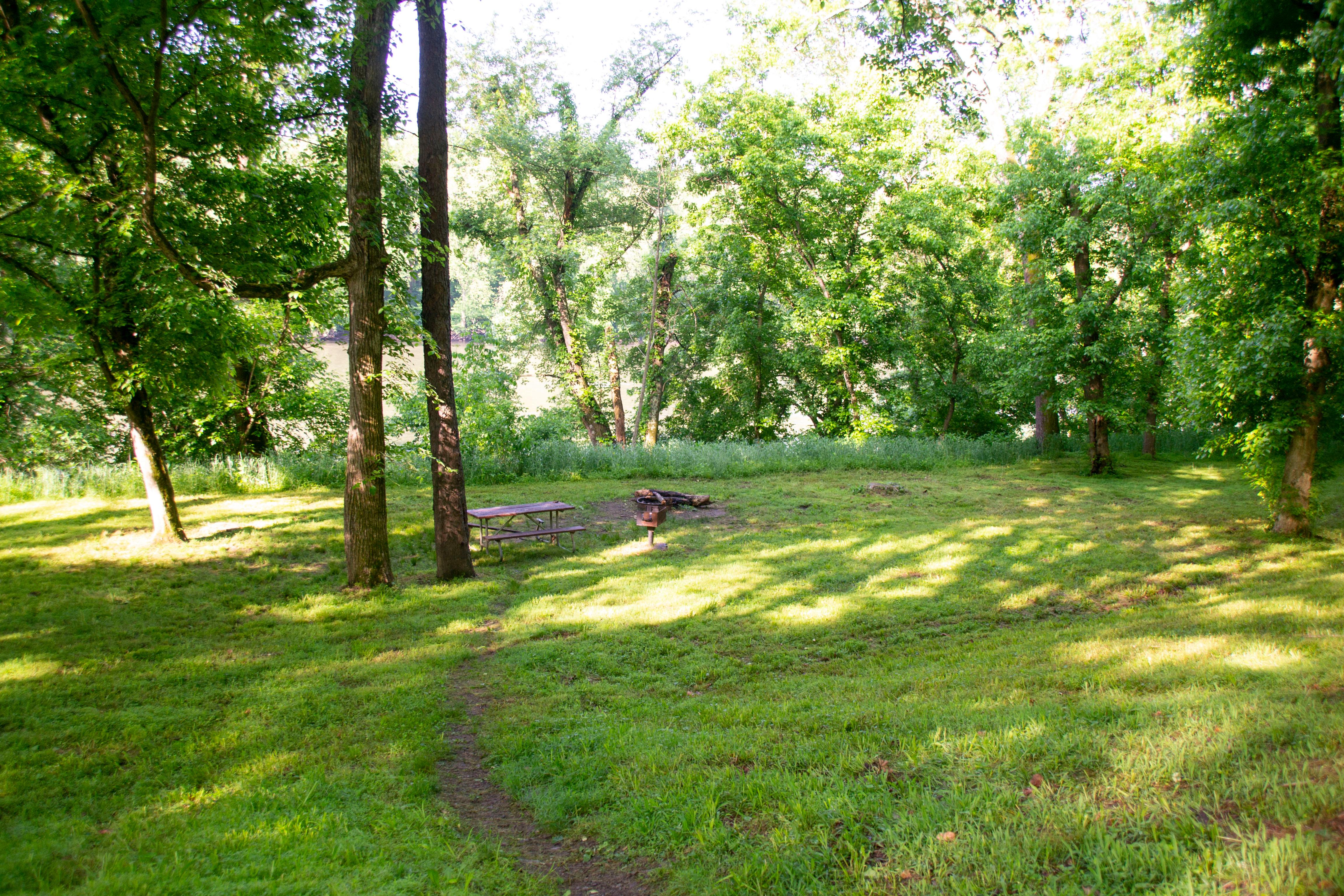 A trail leads to a grassy campsite in the trees.