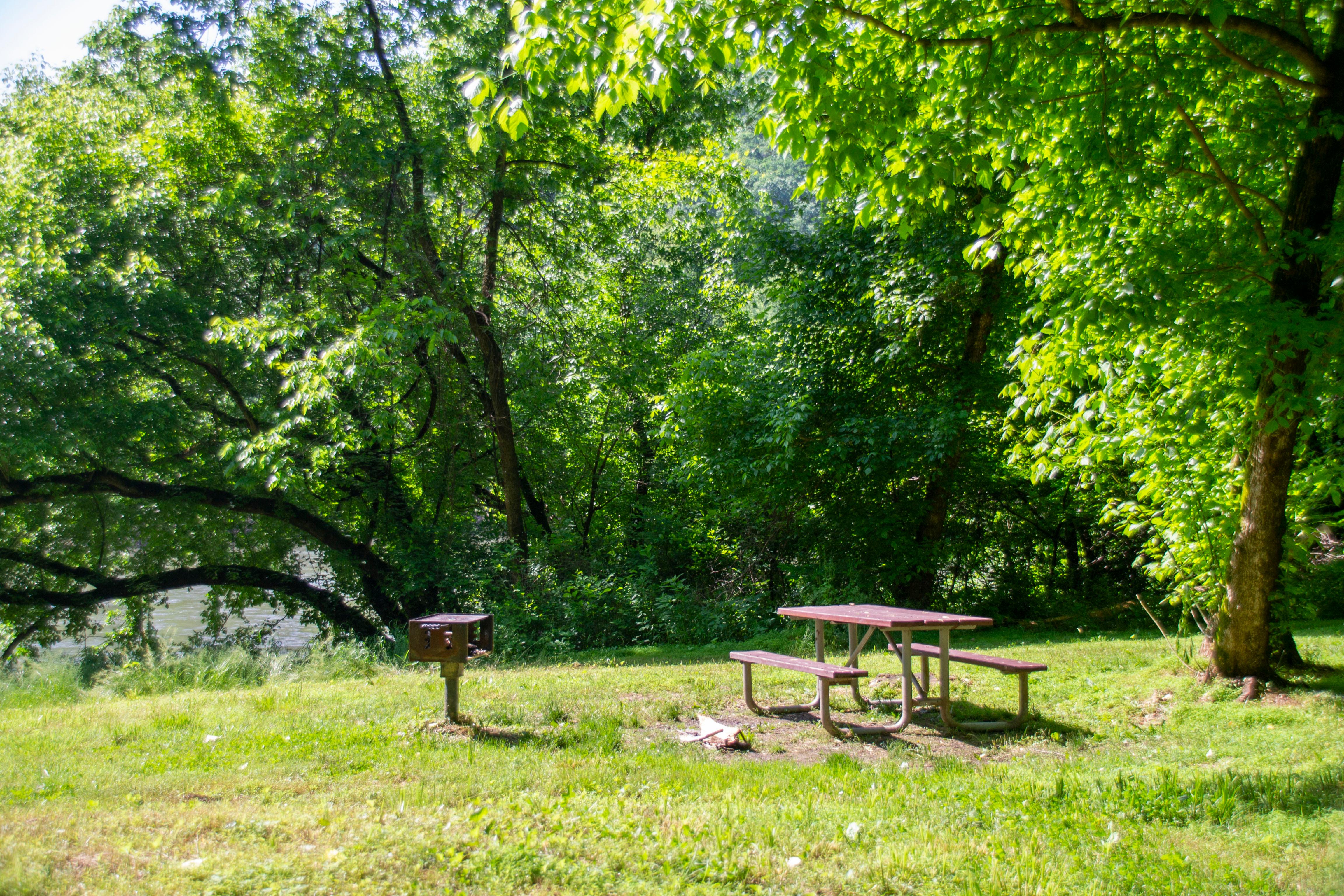 A picnic table and grill sit in a grassy area.