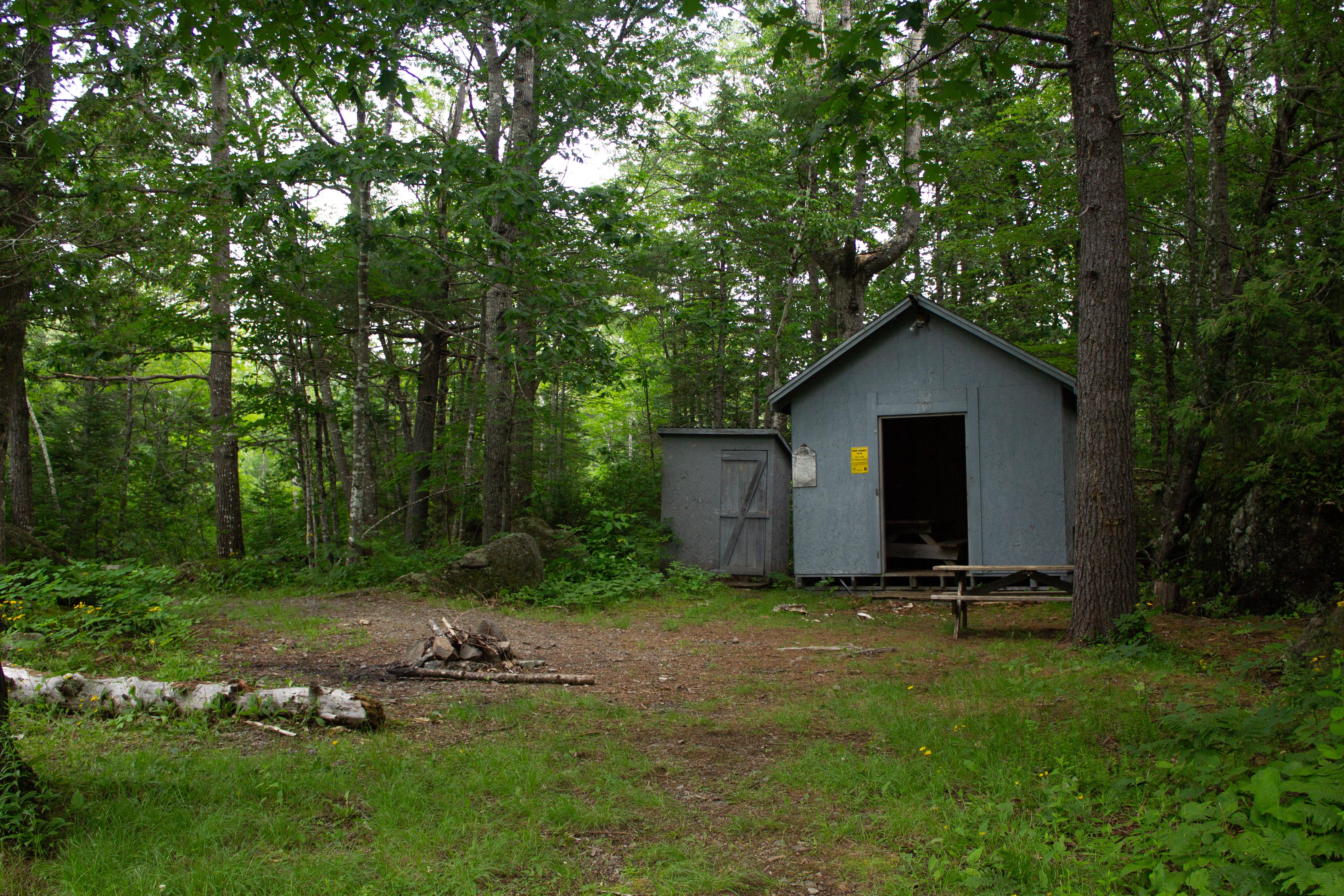Campsite in a forest clearing witha storage shed behind.