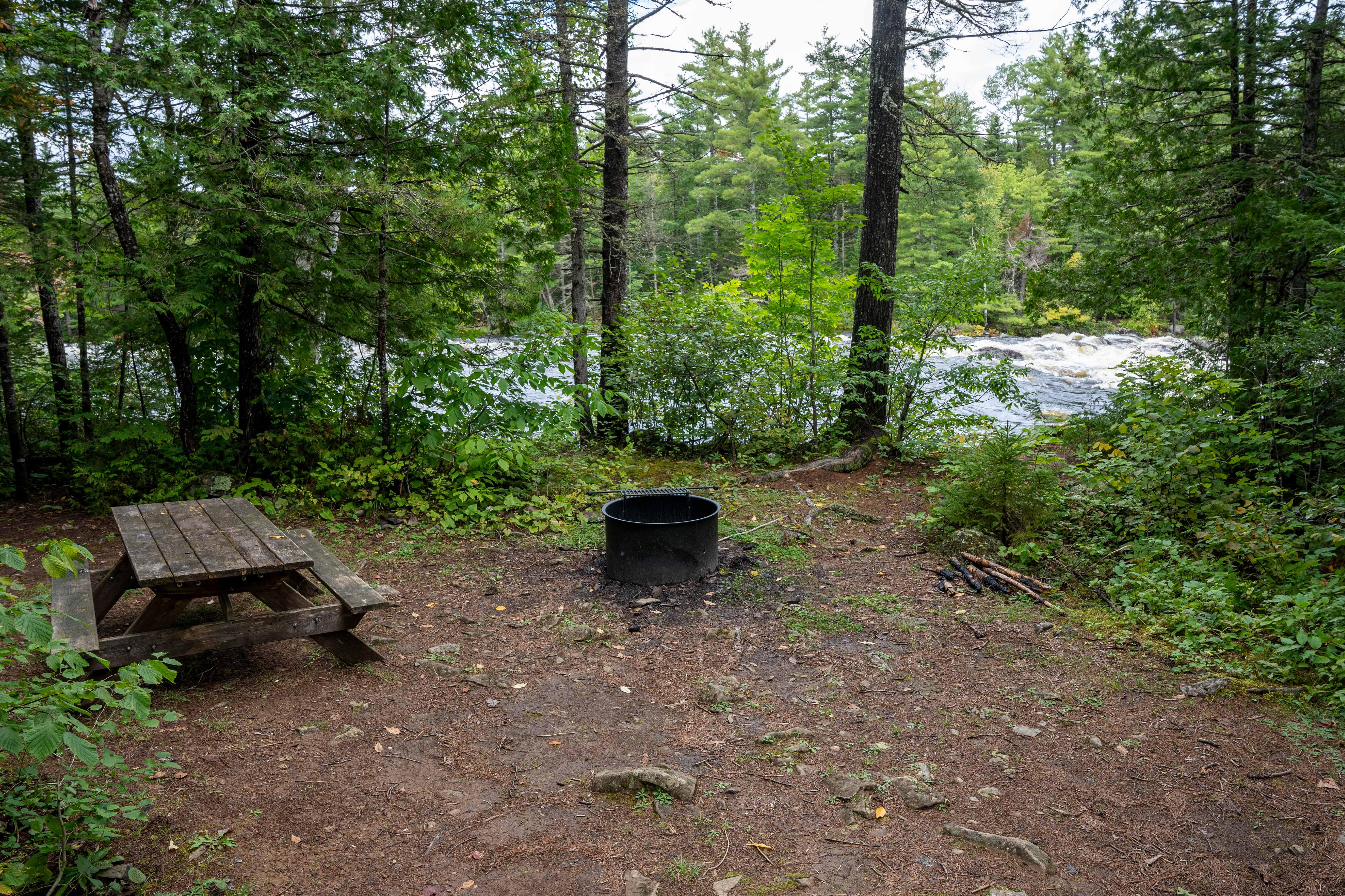 Picnic table and firepit surrounded by forest with river and waterfall in background.